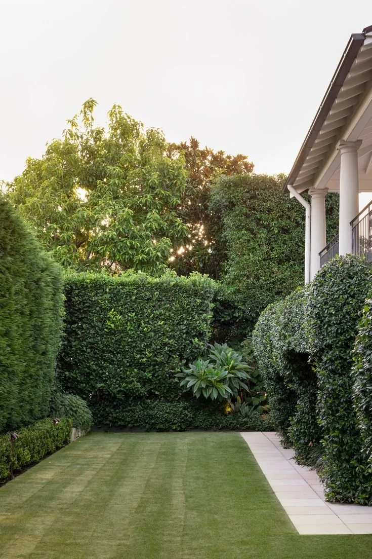 Front Yard Design Ideas for los angeles homes