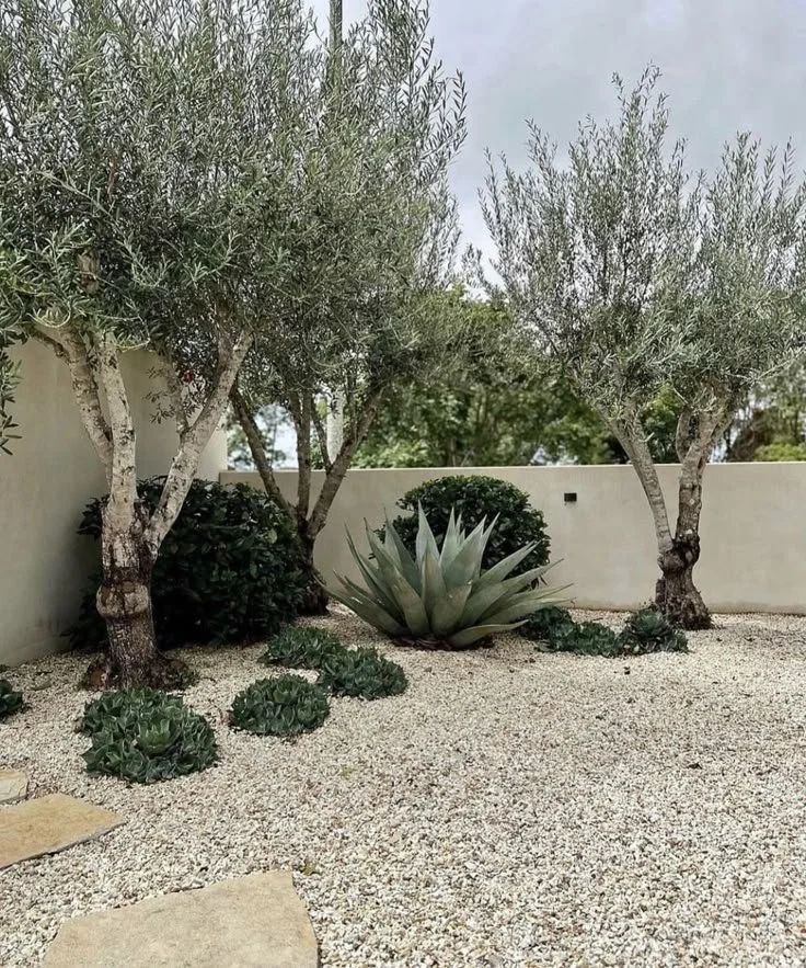 low-maintenance backyard ideas for los angeles homes