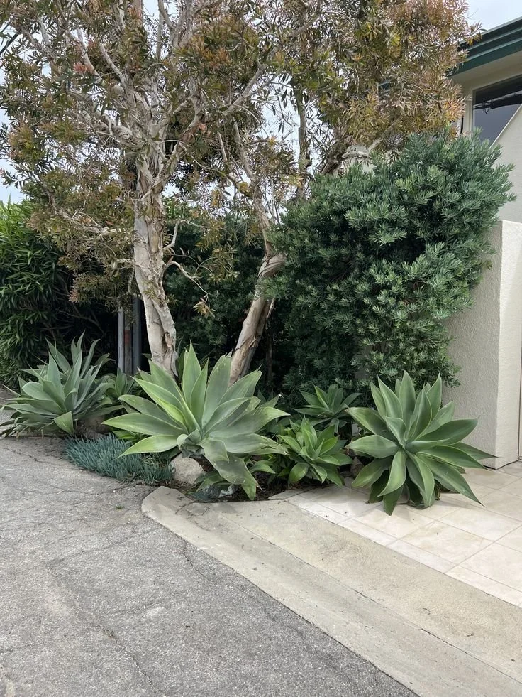 Front Yard Design Ideas for los angeles homes