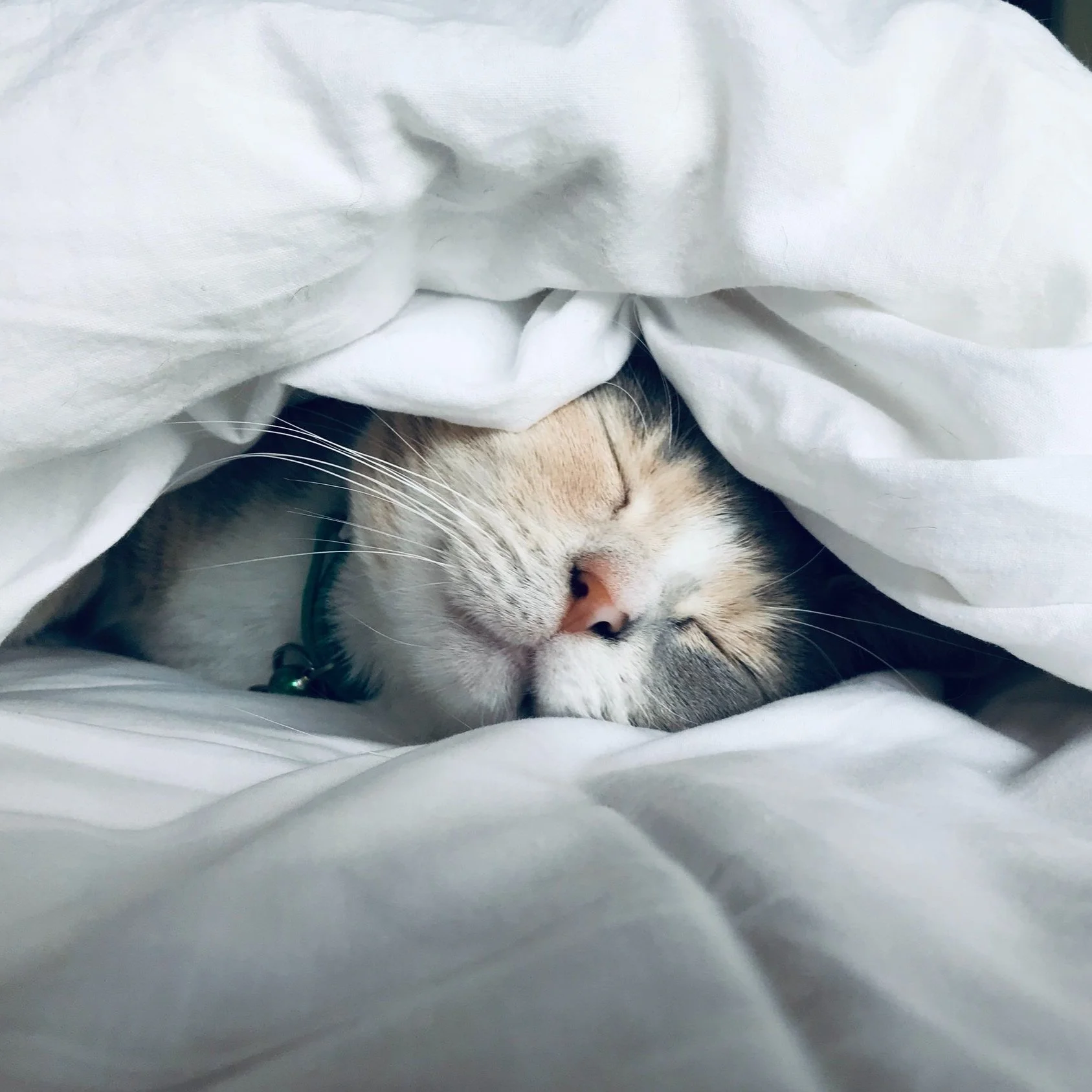 How to Create a Relaxing Self-Care Routine for the Perfect Night In