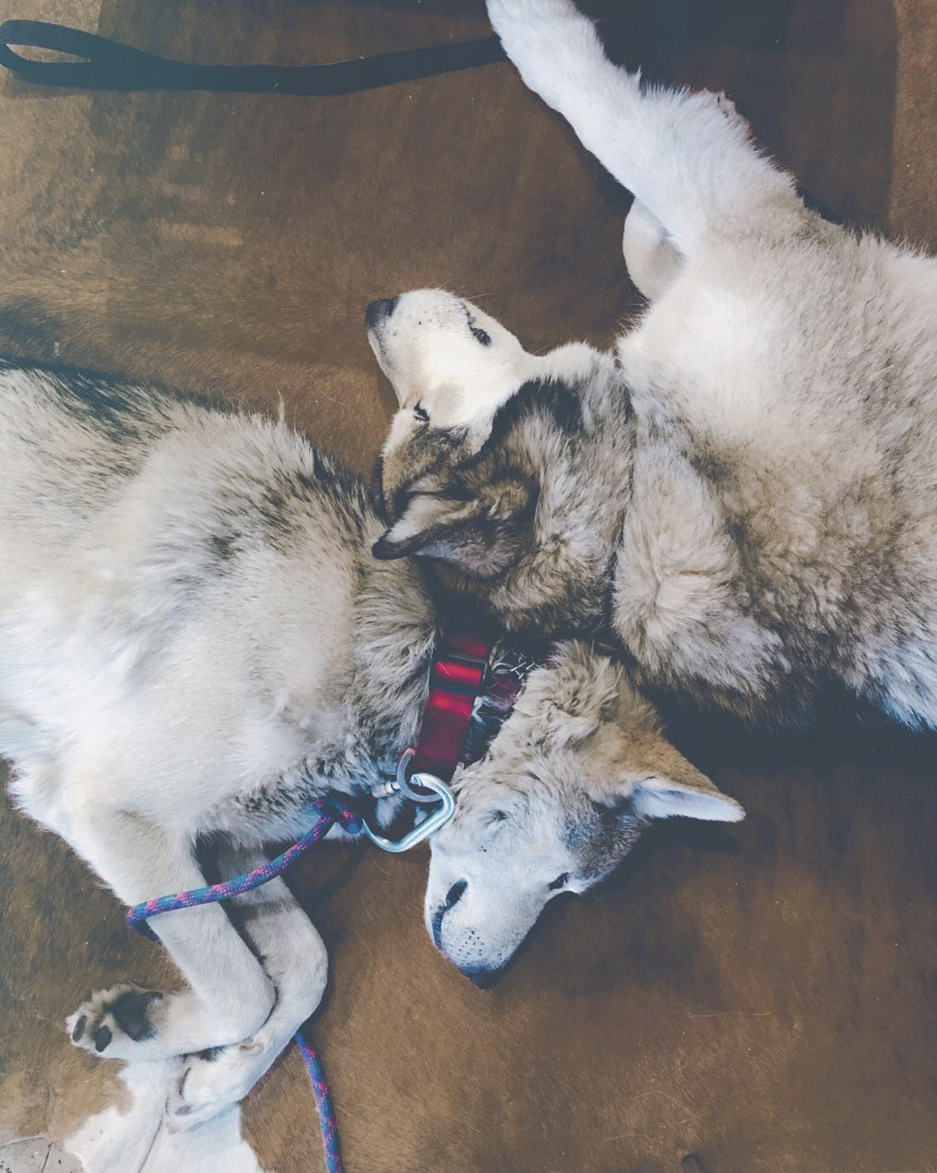 Screenshot 2024-03-13 at 12.46.17 PM.png