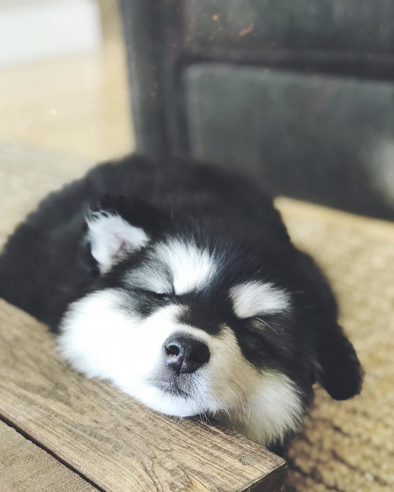 Screenshot 2024-03-13 at 12.51.55 PM.png