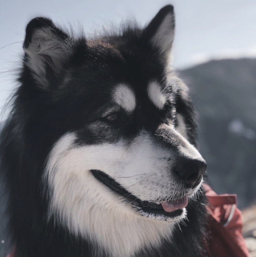 Screenshot 2024-03-13 at 2.08.43 PM.png