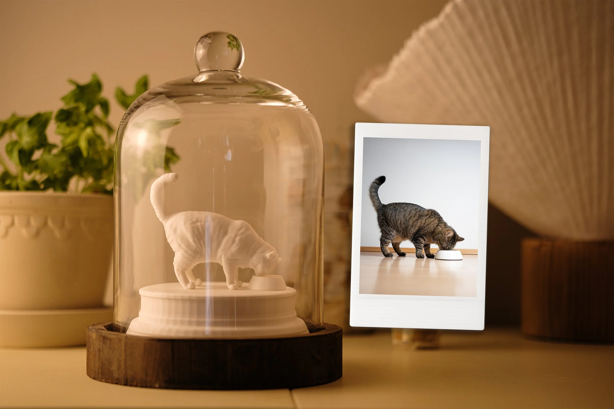 En vit figurin av en katt som äter innesluten i ett glaskupa, med ett fotografi av en katt som äter, placerad bredvid.