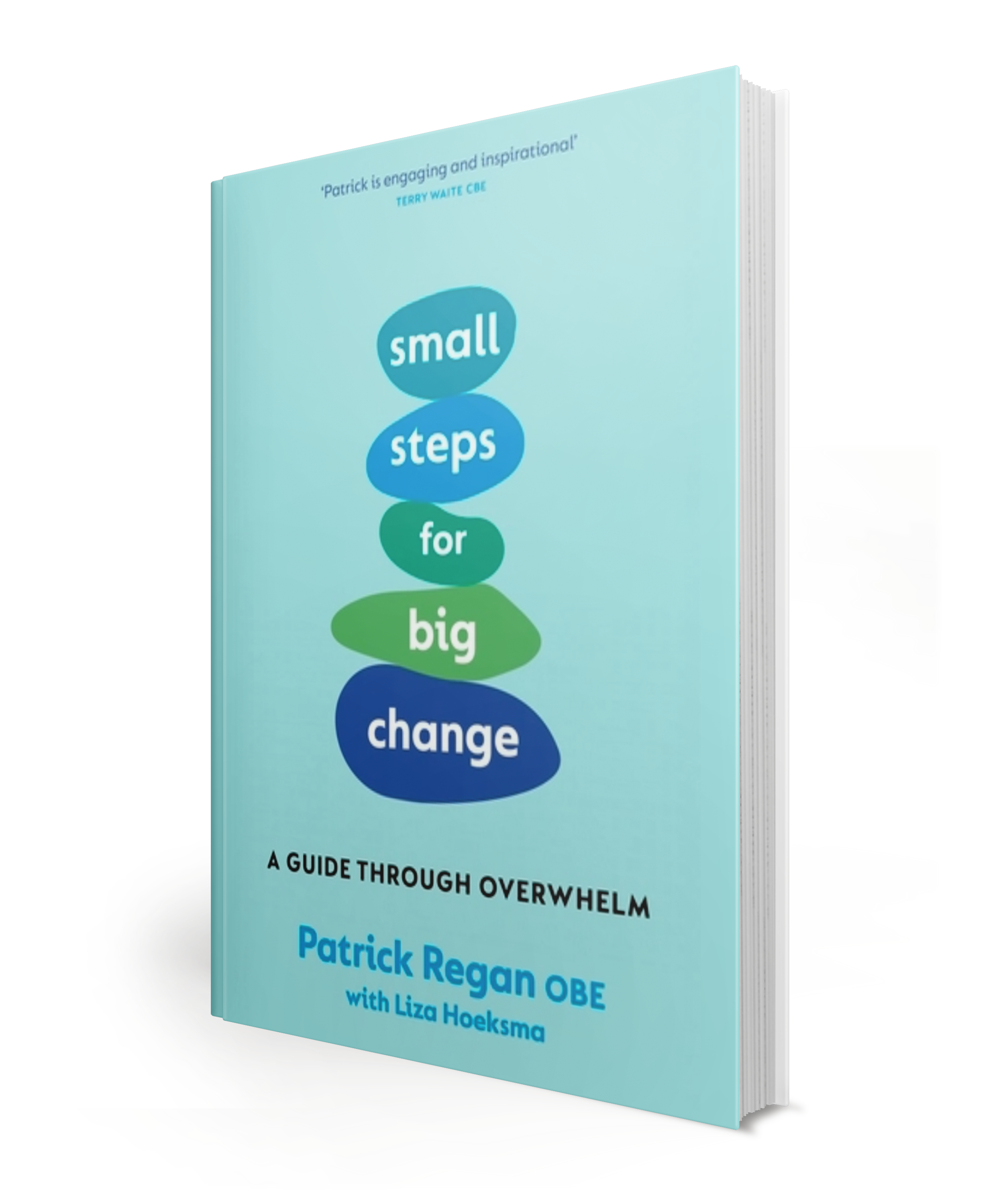 Front cover of a light blue book titled 'Small steps for big change: A guide through overwhelm' by Patrick Regan OBE with Liza Hoeksma.