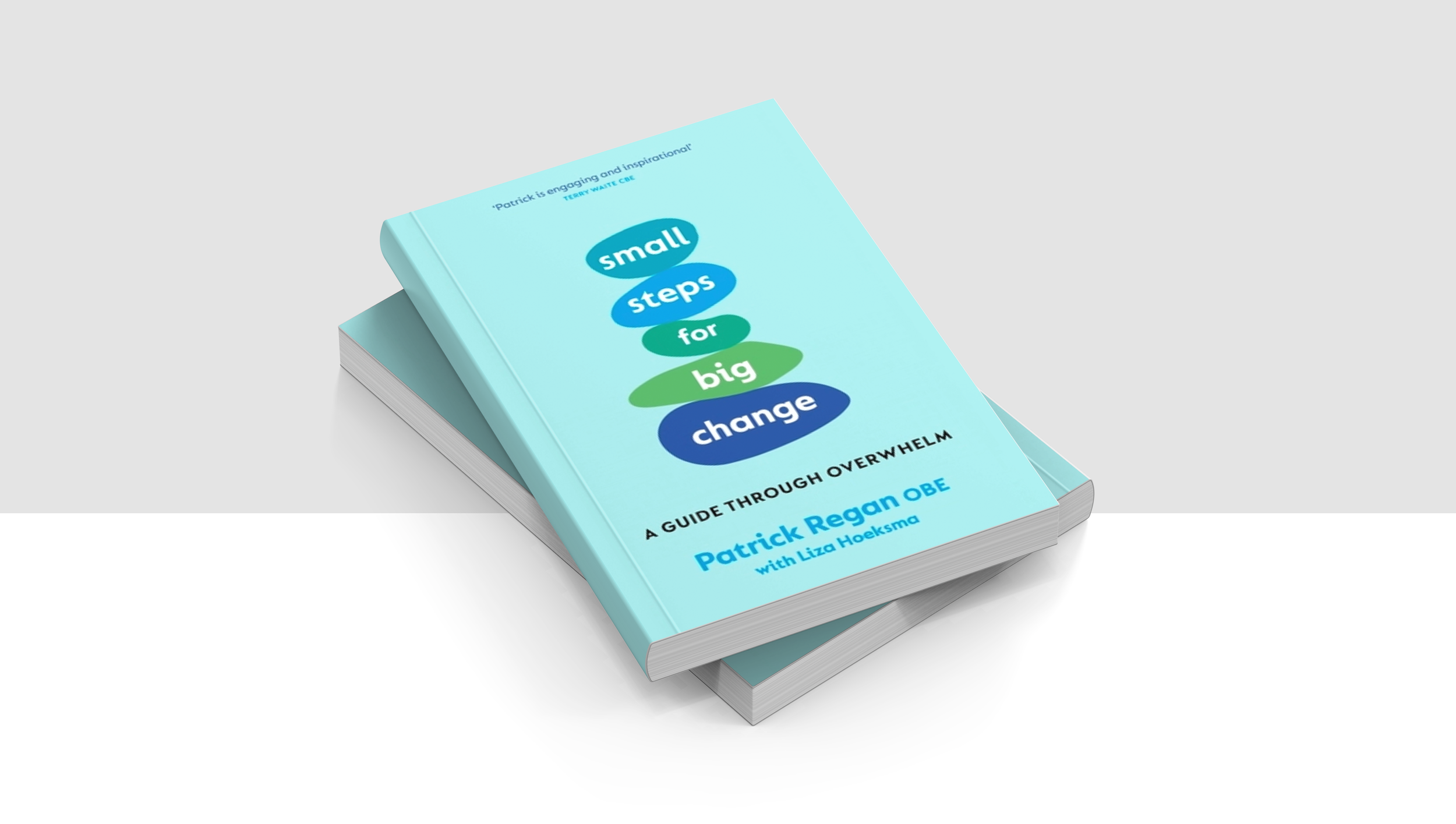 Two light blue books stacked with the top book titled 'Small Steps for Big Change' by Patrick Regan OBE and Liza Hoeksma