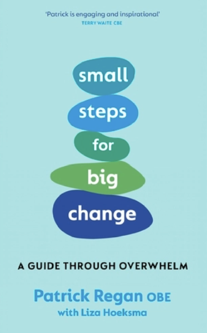 Cover of the book titled 'Small Steps for Big Change: A Guide Through Overwhelm' by Patrick Regan OBE, with Liza Hoeksma, featuring colorful, rounded shapes with the title text.