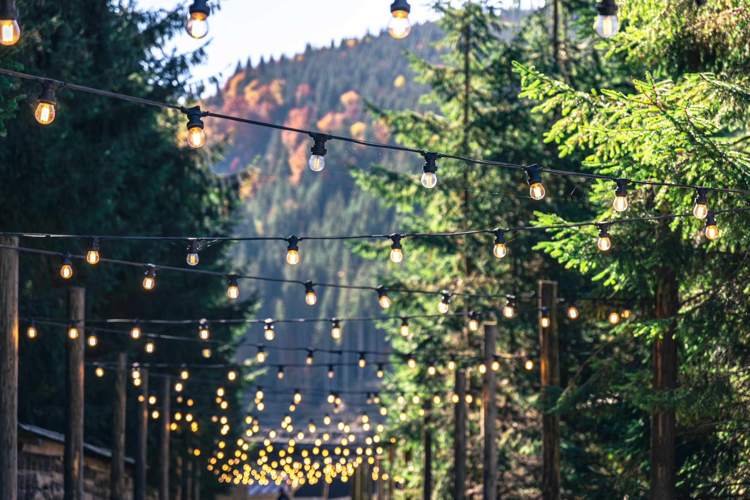 String of outdoor string lights hanging above a pathway surrounded by trees and mountains in the background.