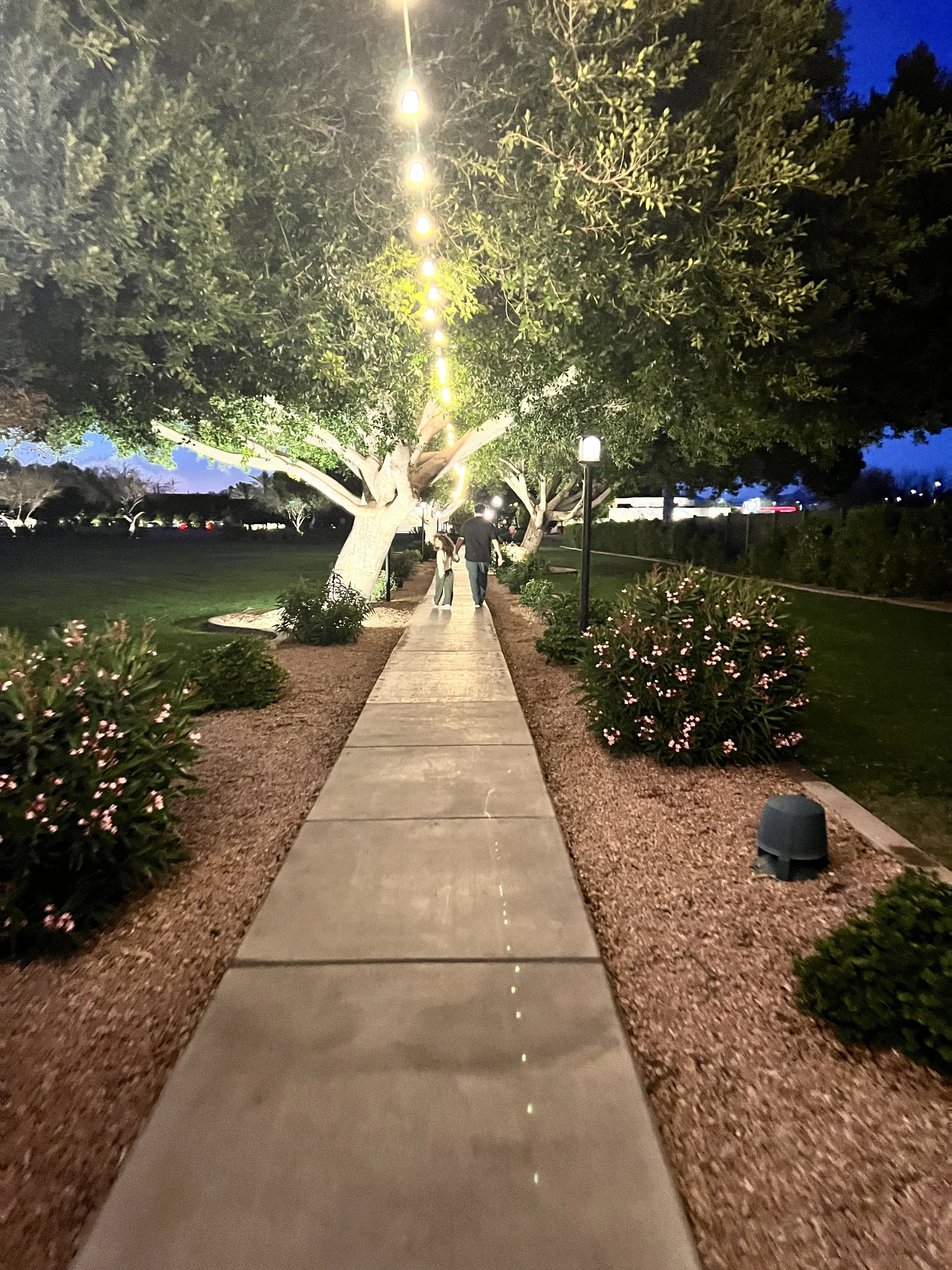 A sidewalk in a park at night, illuminated by string lights hanging above, with trees on either side, and a couple walking hand-in-hand in the distance.