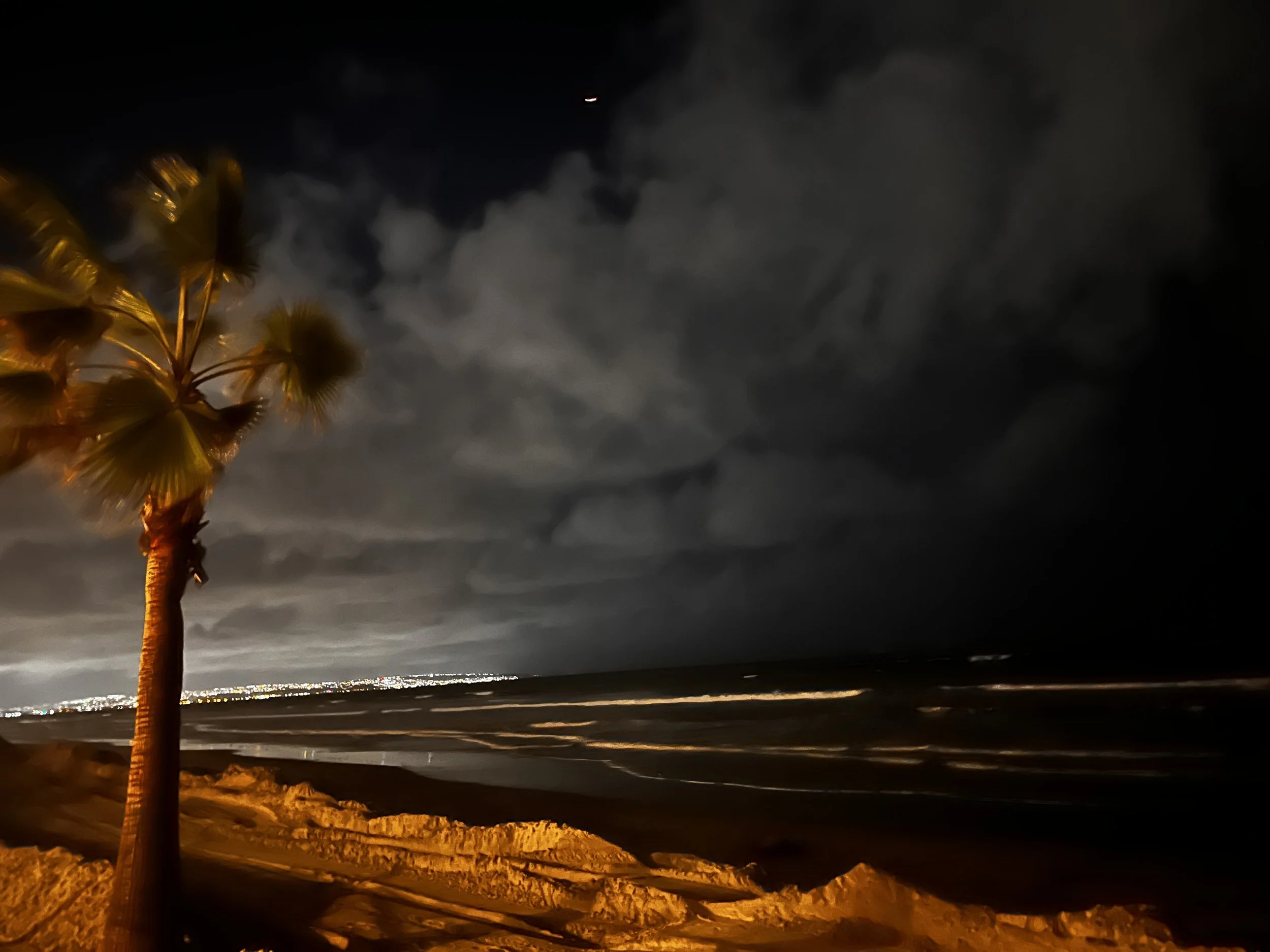 Nighttime beach scene with a palm tree in the foreground, dark cloudy sky, and ocean waves reflecting city lights in the distance.