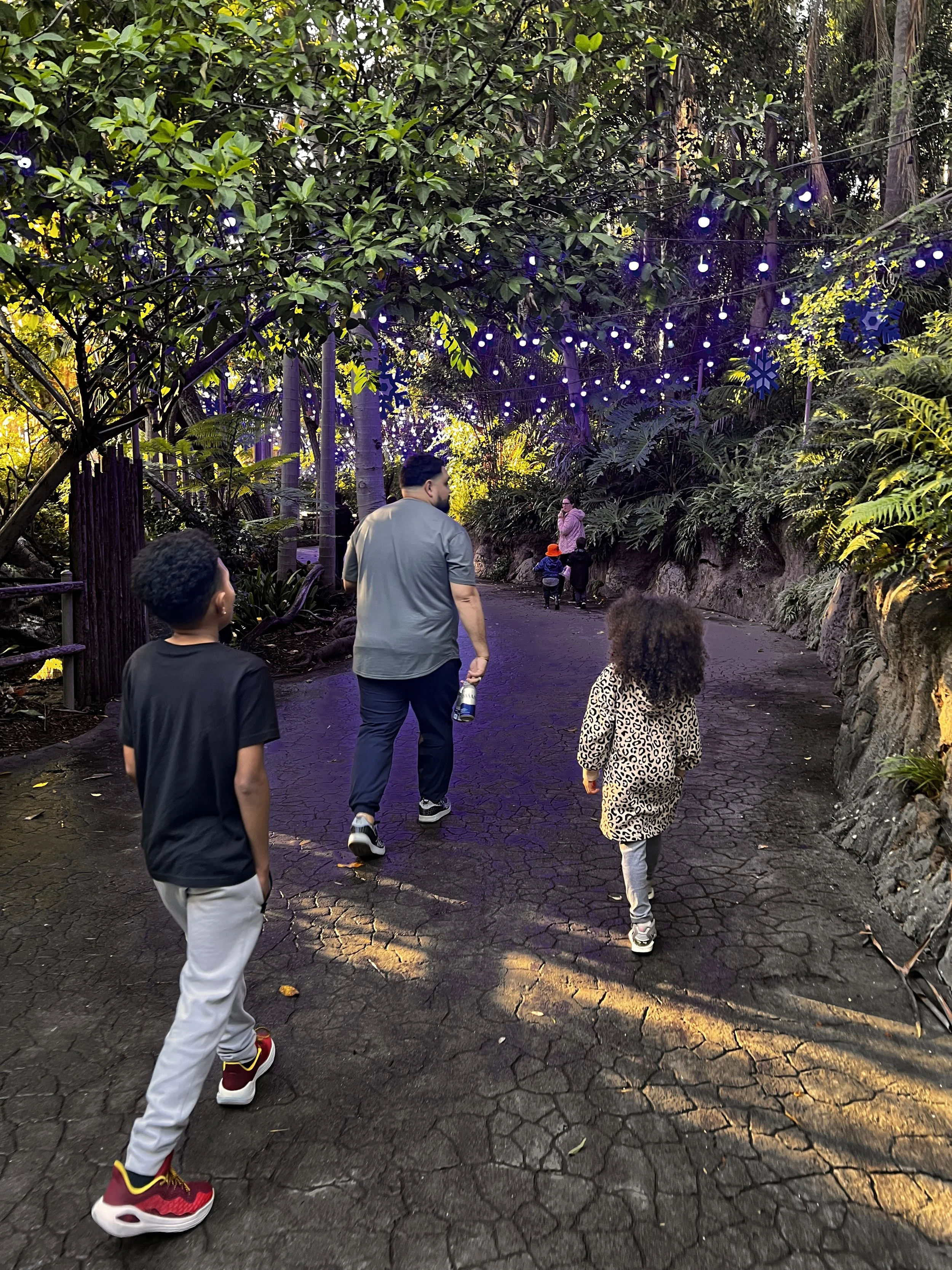 People walking through a lush, green outdoor setting with string lights hanging overhead.