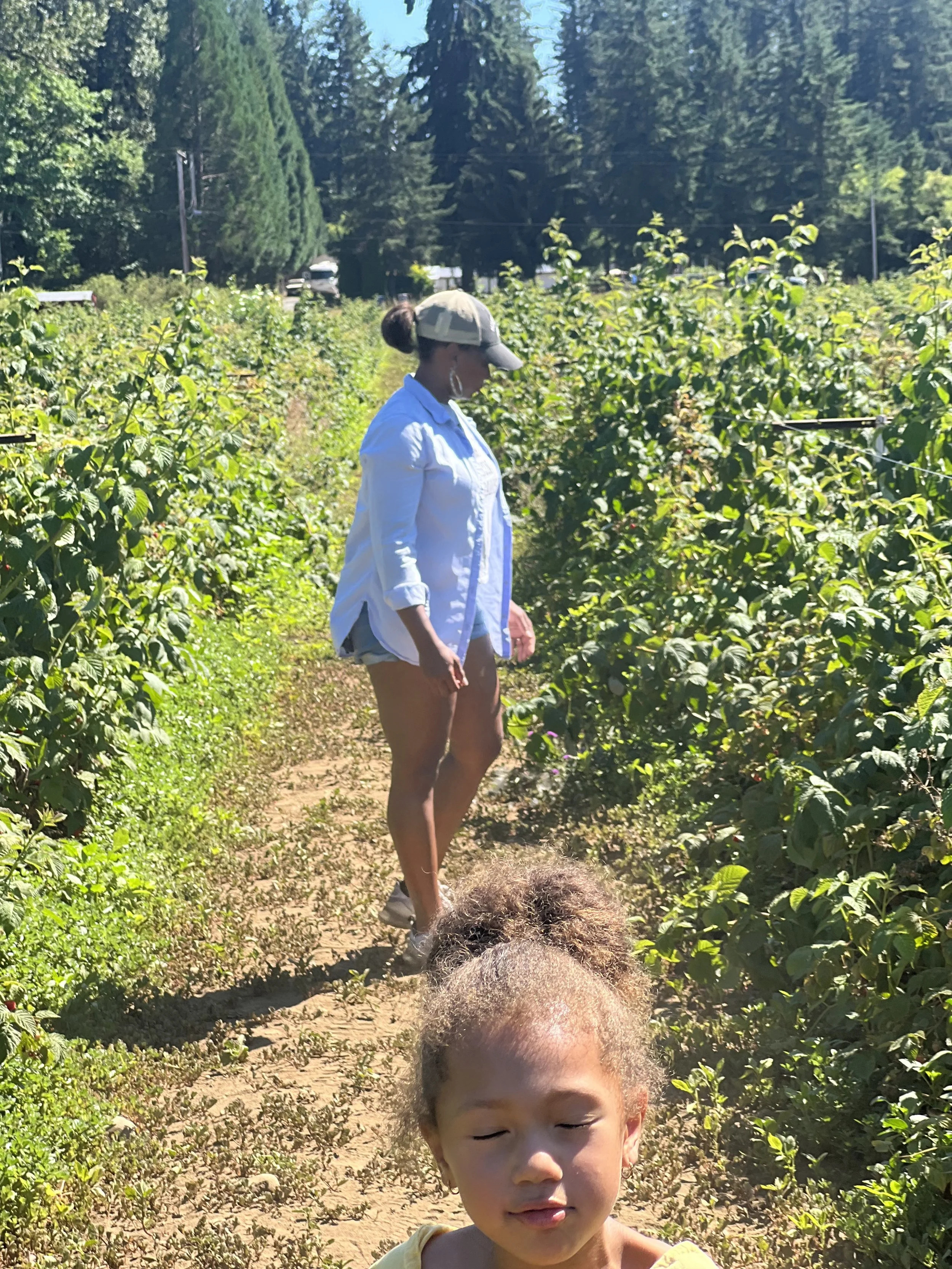 A woman and a girl walking through a lush green field with rows of plants, under a clear blue sky on a sunny day.