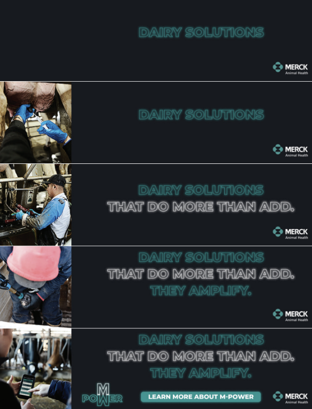 Screenshot 2026-01-29 at 10.31.22 AM.png