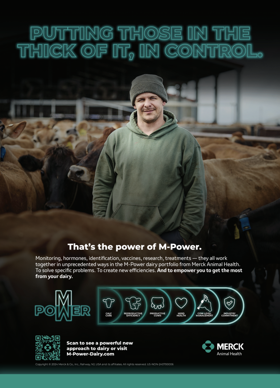 Screenshot 2026-01-29 at 10.28.47 AM.png