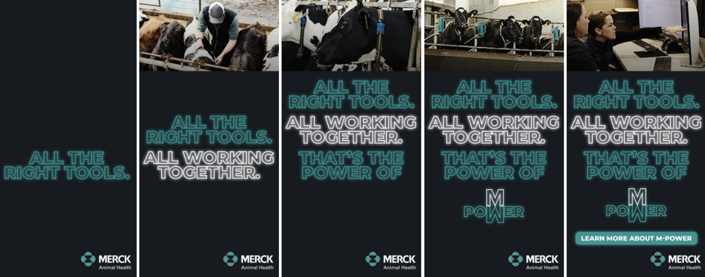 Screenshot 2026-01-29 at 10.31.12 AM.png