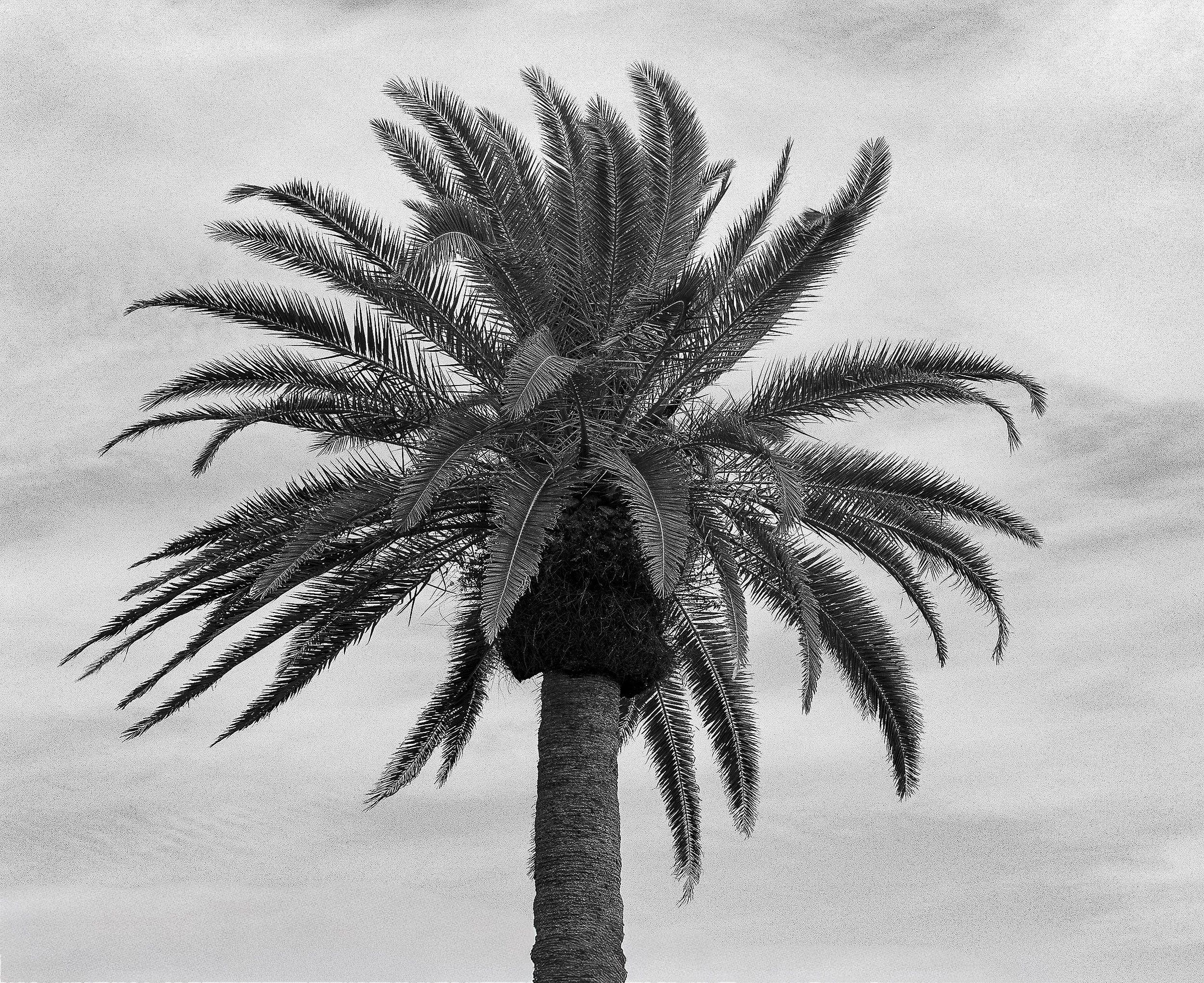 key west 2026 - b&w-8.jpg