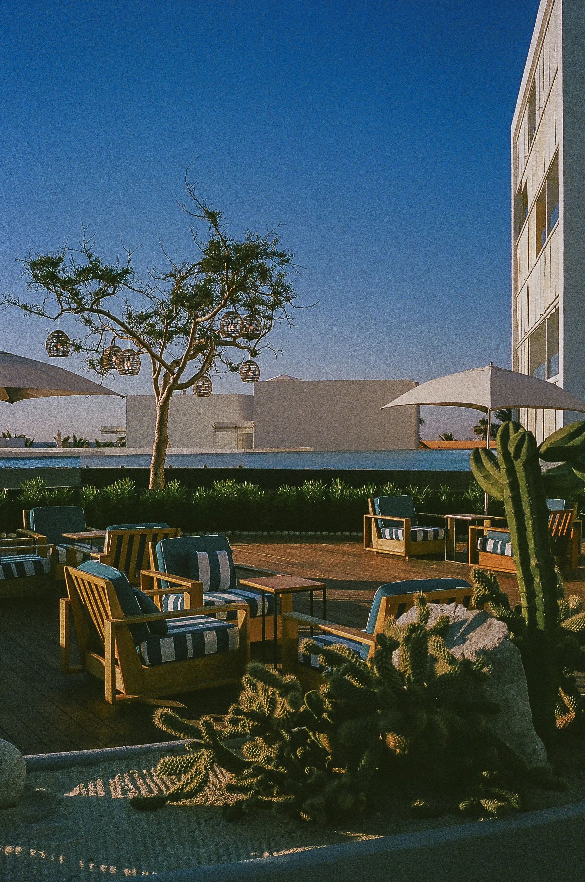 viceroy los cabos-1.jpg