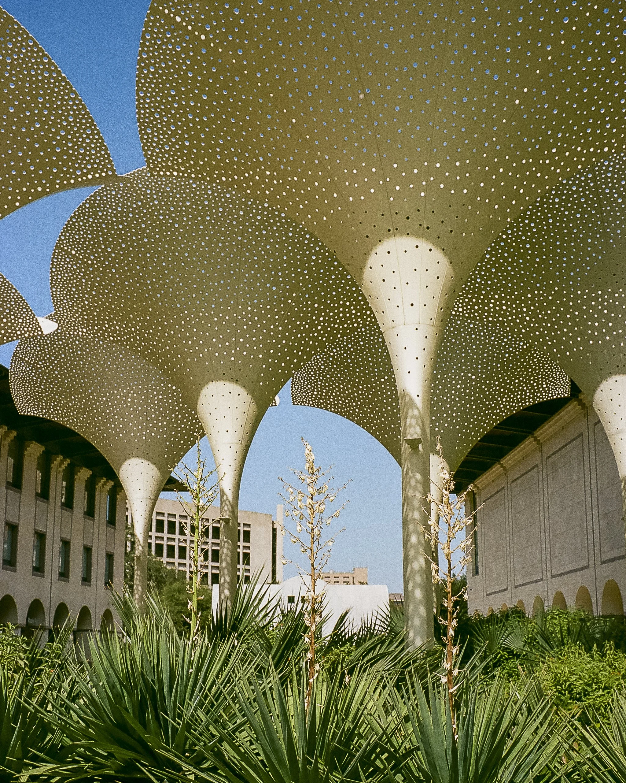 the blanton museum.jpg