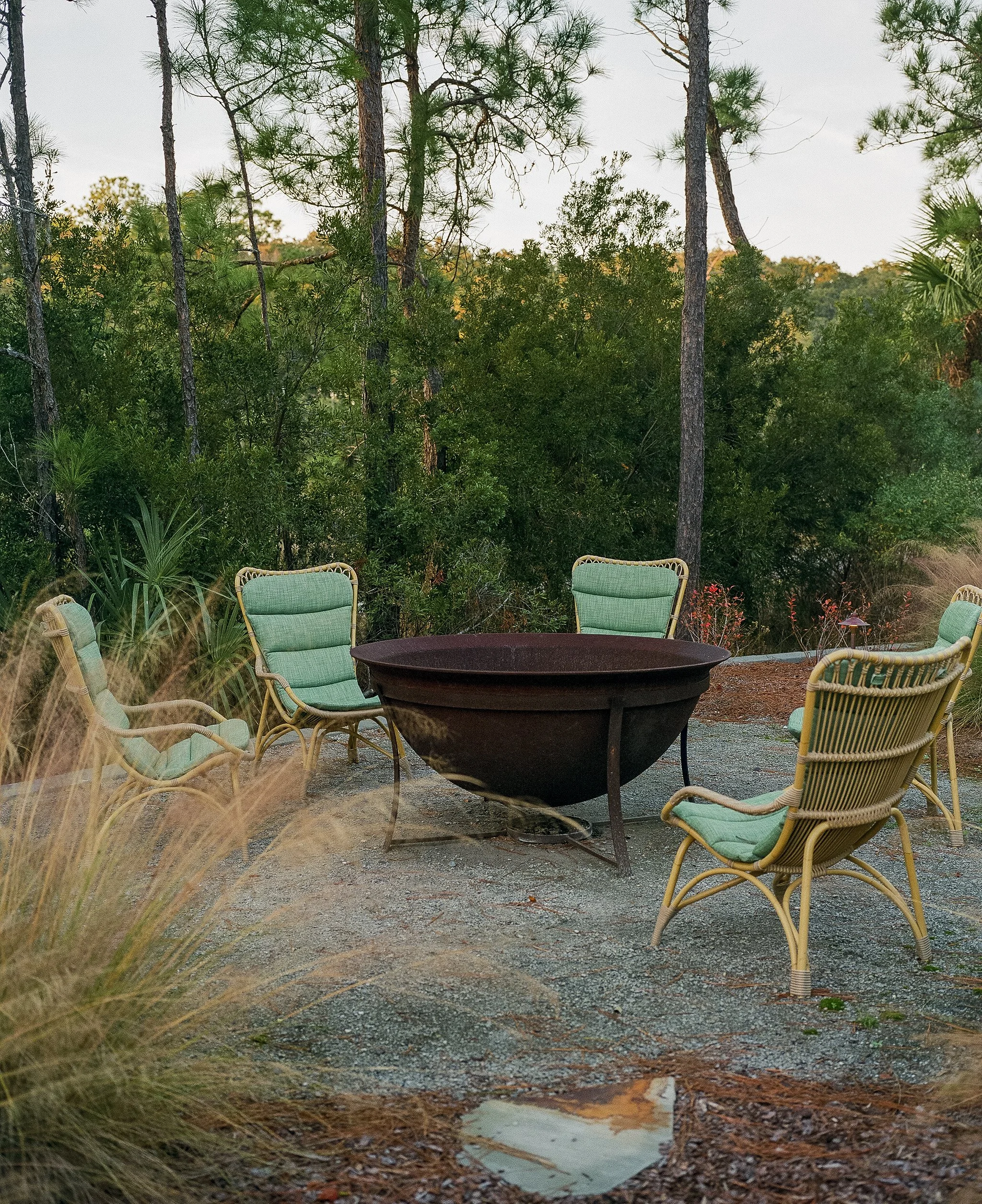 south carolina '25-23.jpg