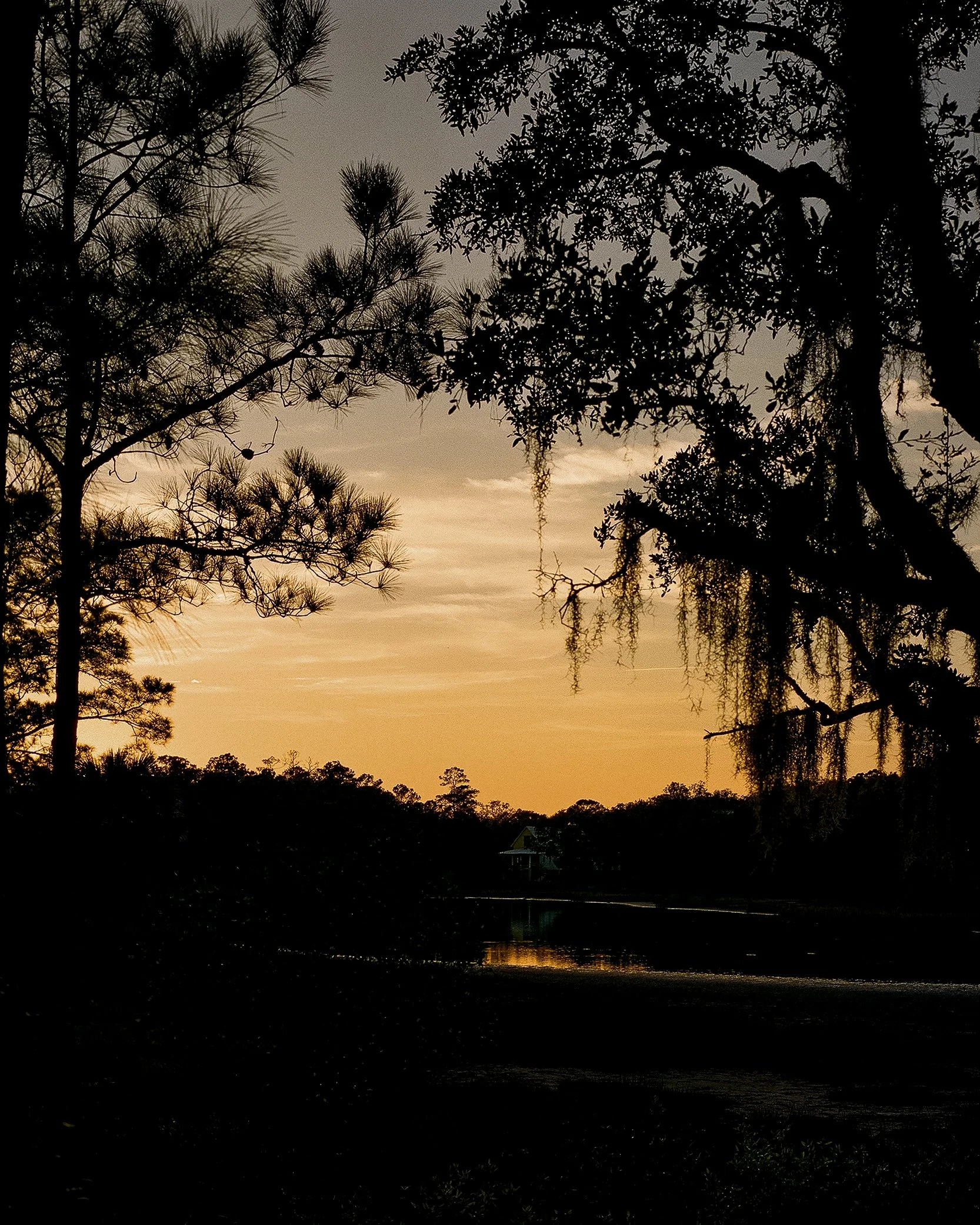 south carolina '25-27.jpg