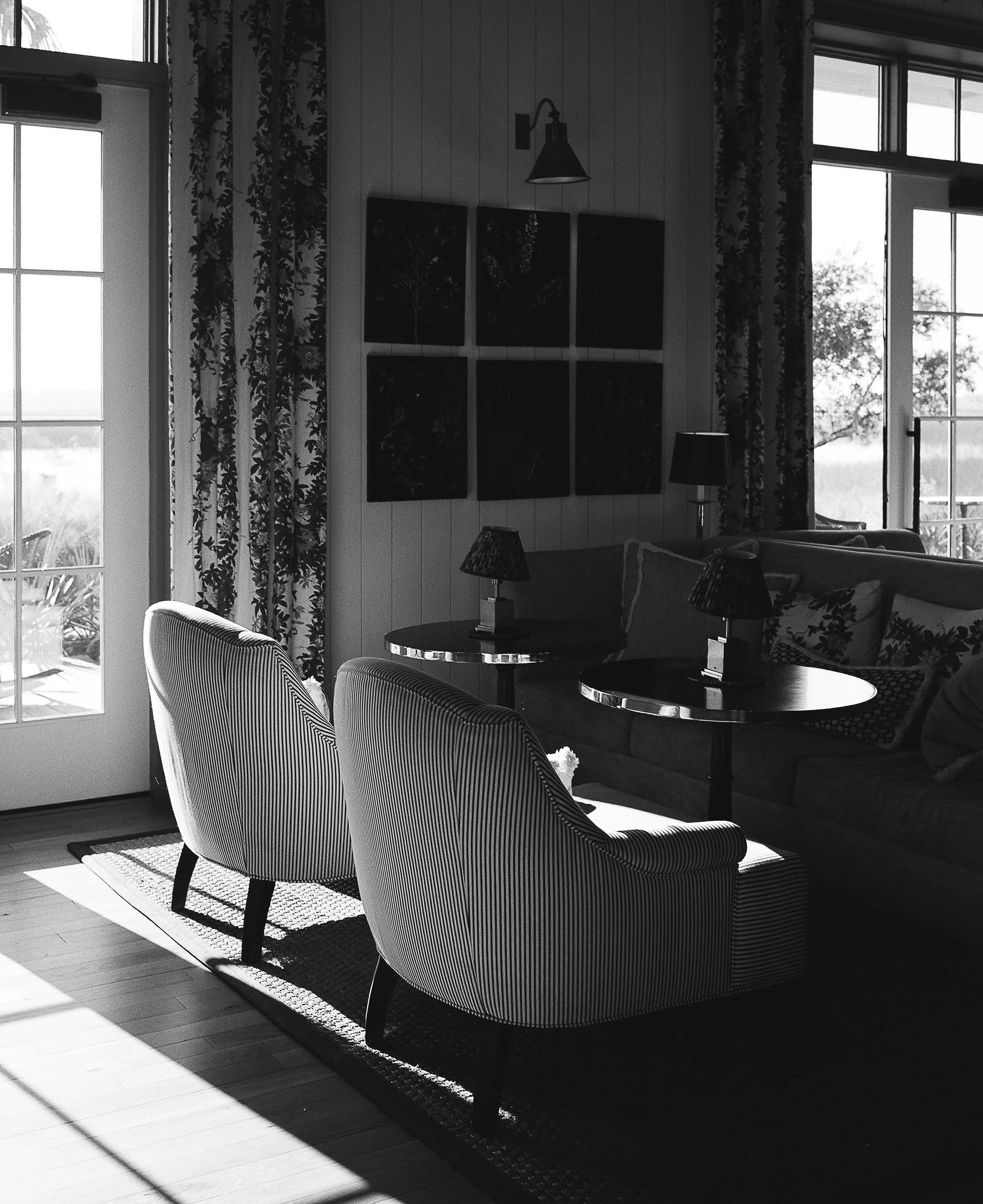 the dunlin - to print.jpg