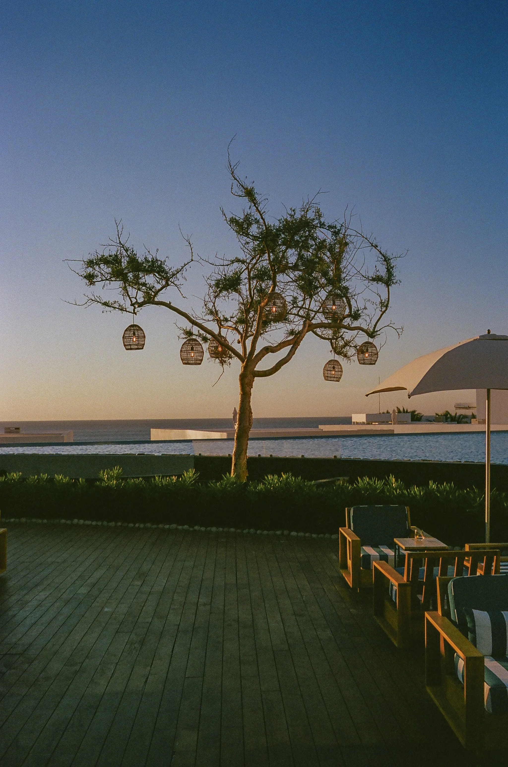 Golden Hour at Viceroy Los Cabos