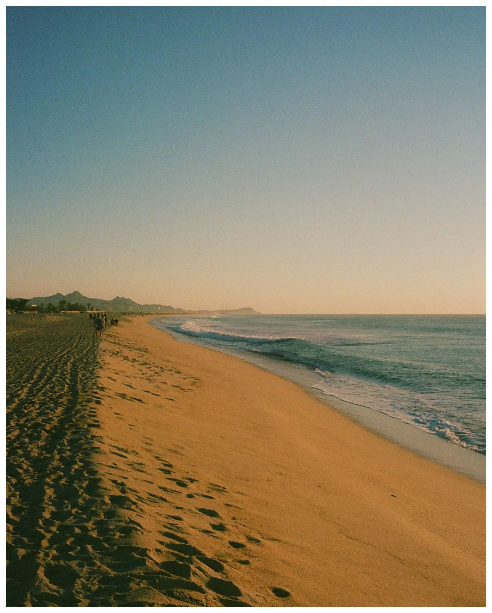 Golden Light on Cabo Beach