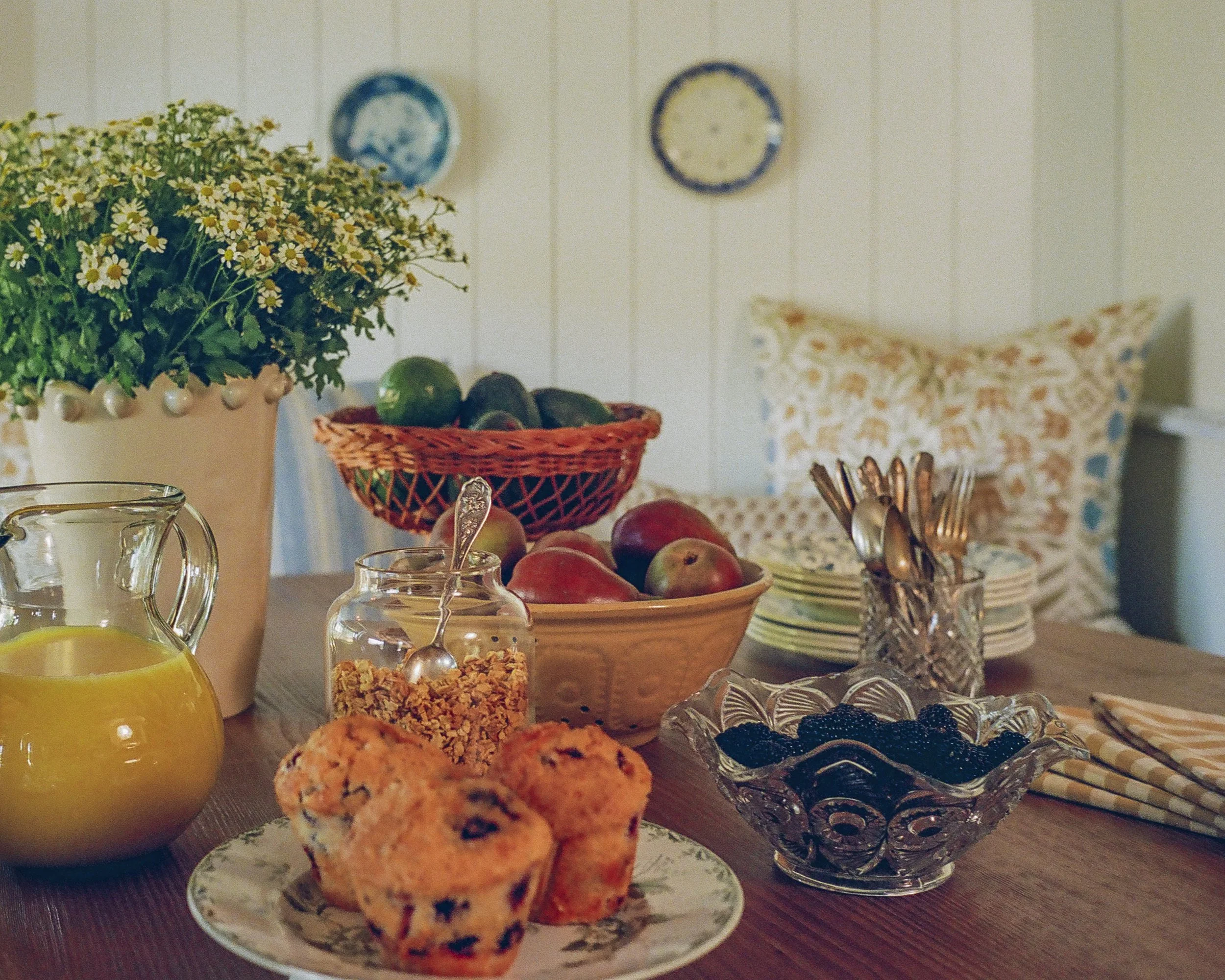 Cherry Creek Project (Audrey Scheck Design)