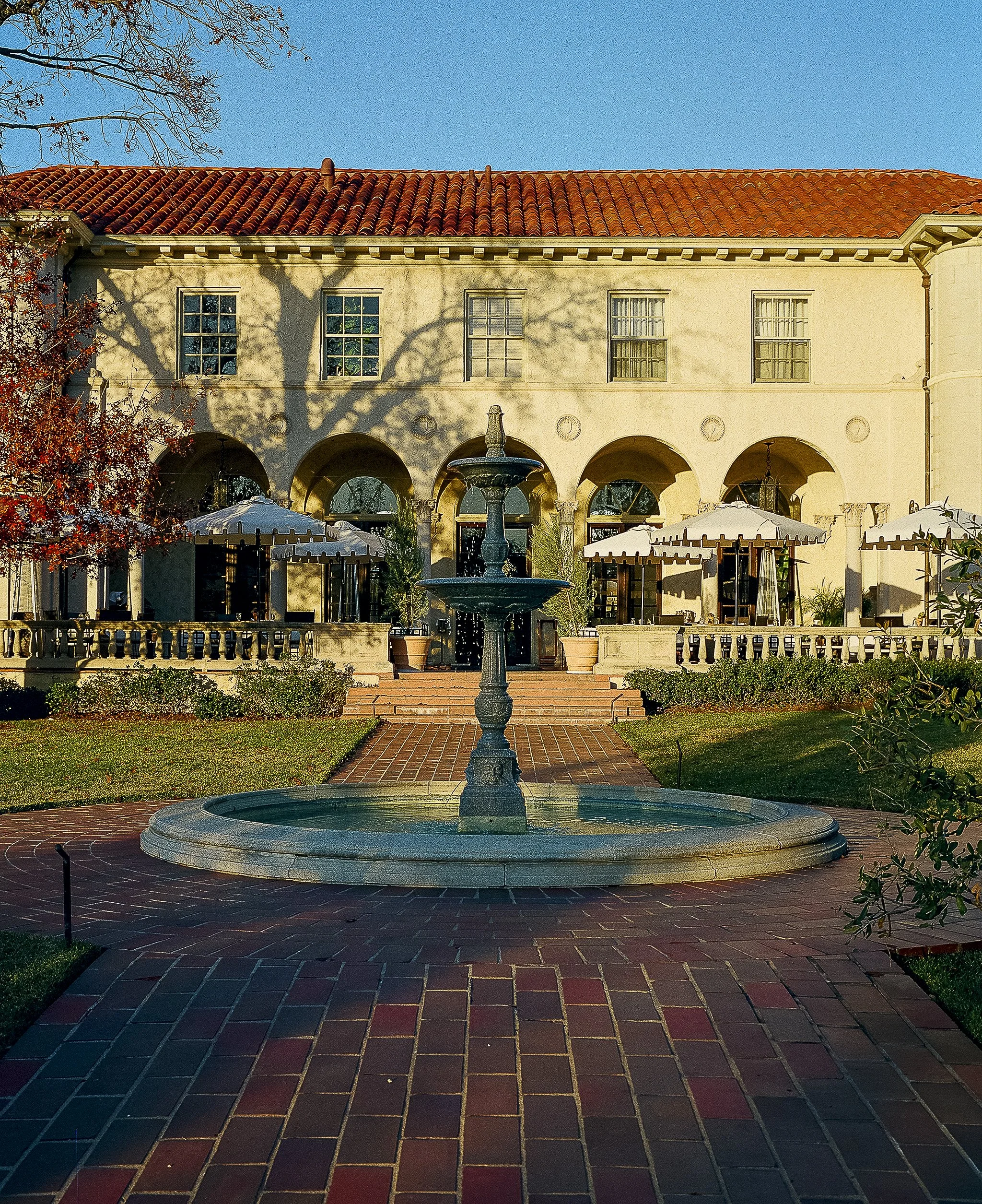 when the leaves match the roof.jpg