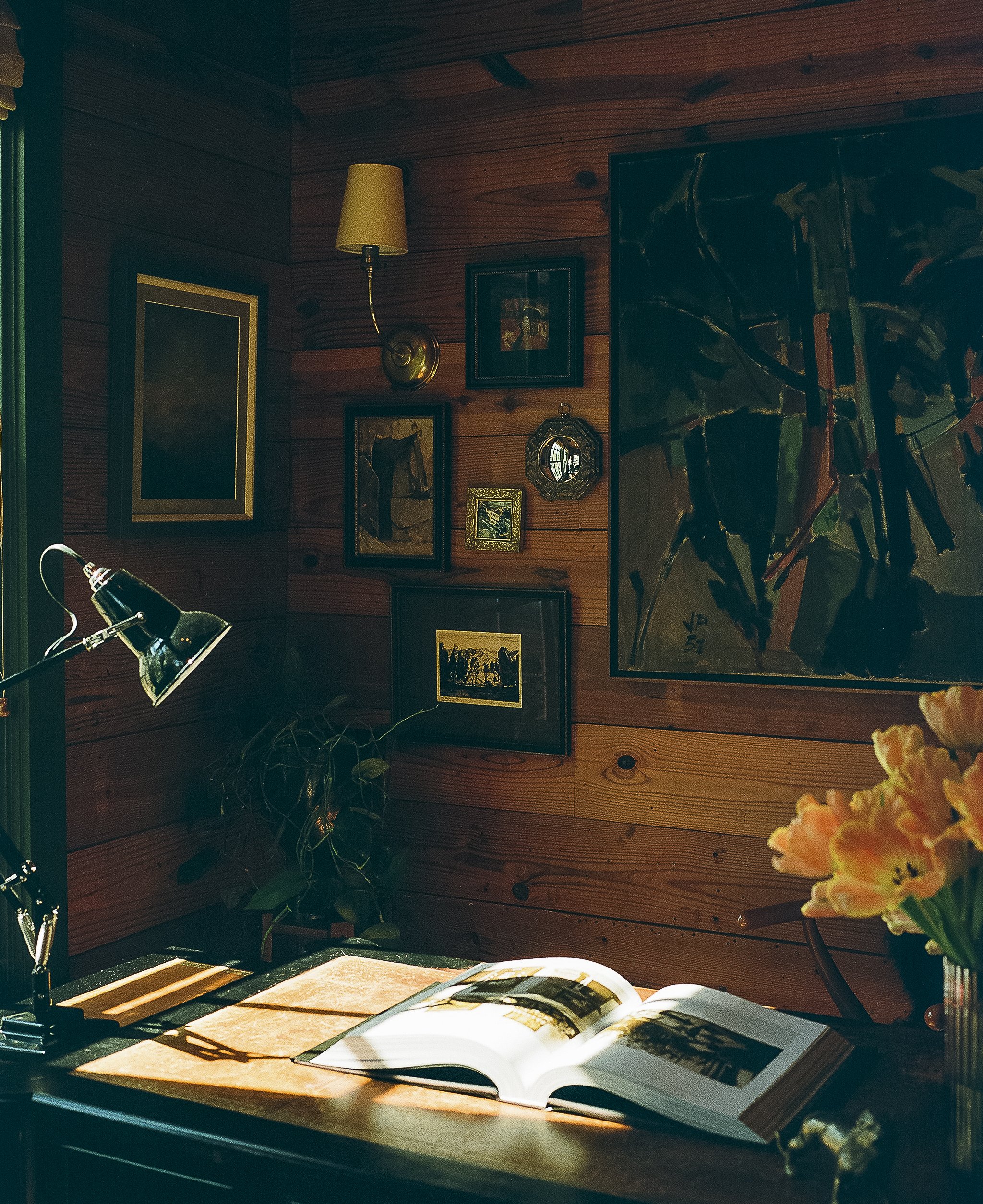 Tribeza Interiors Tour '26 (Studio Burgoon)