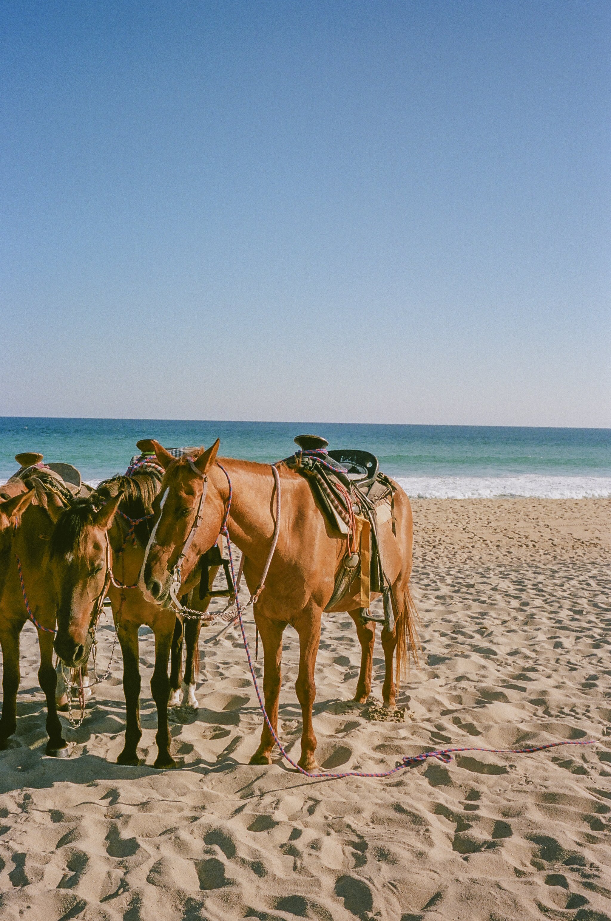 viceroy los cabos-70.jpg