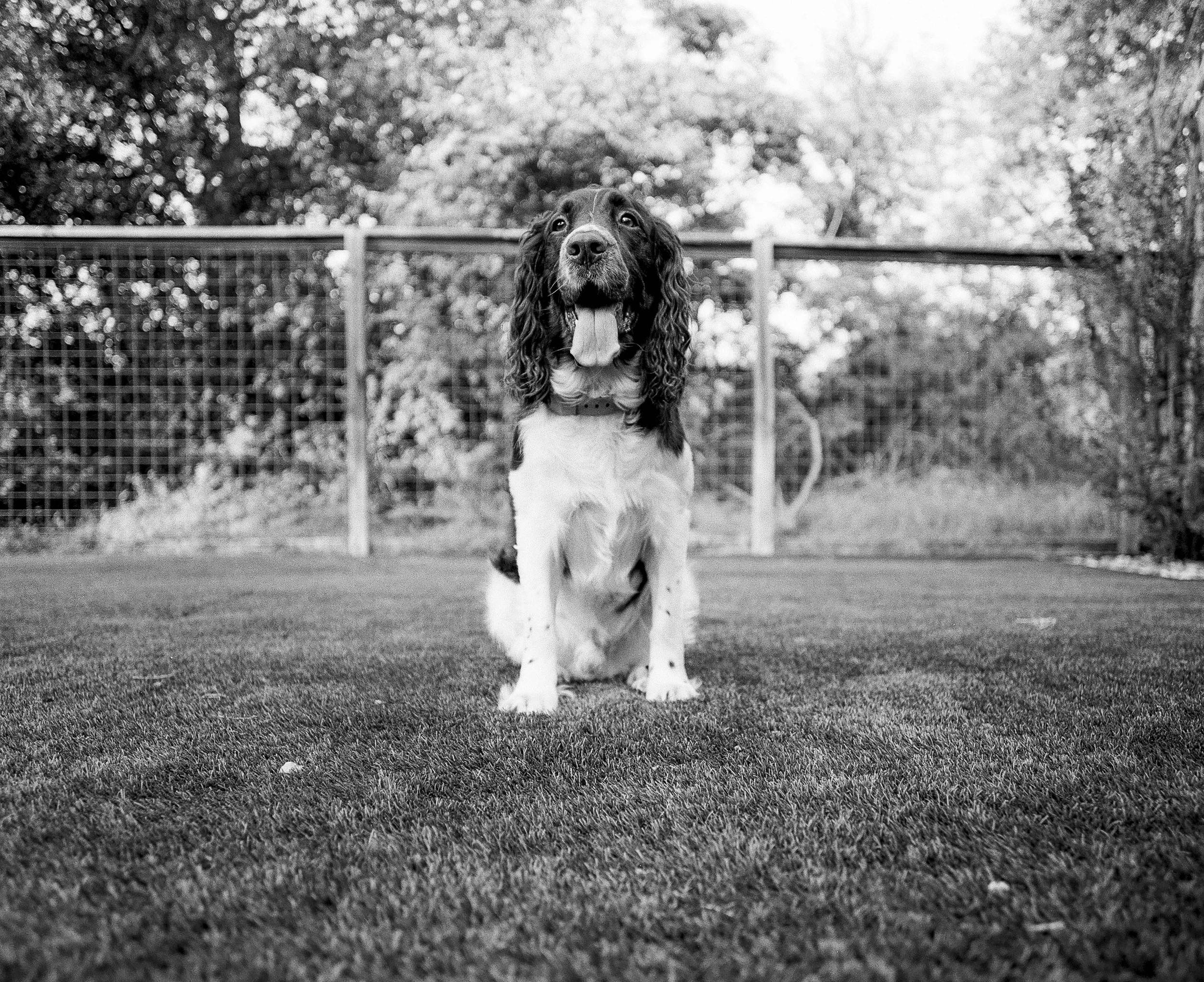 mamiya rz67 test shots-4.jpg