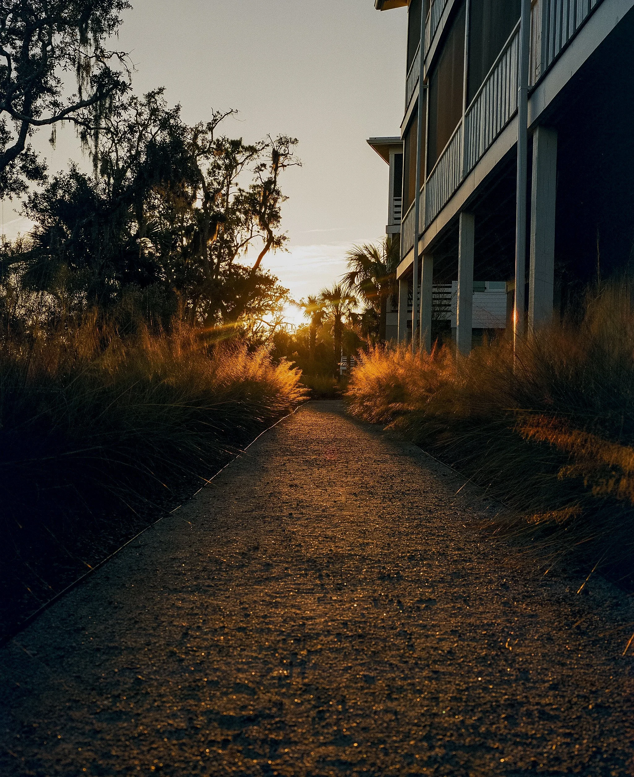 south carolina '25-4.jpg