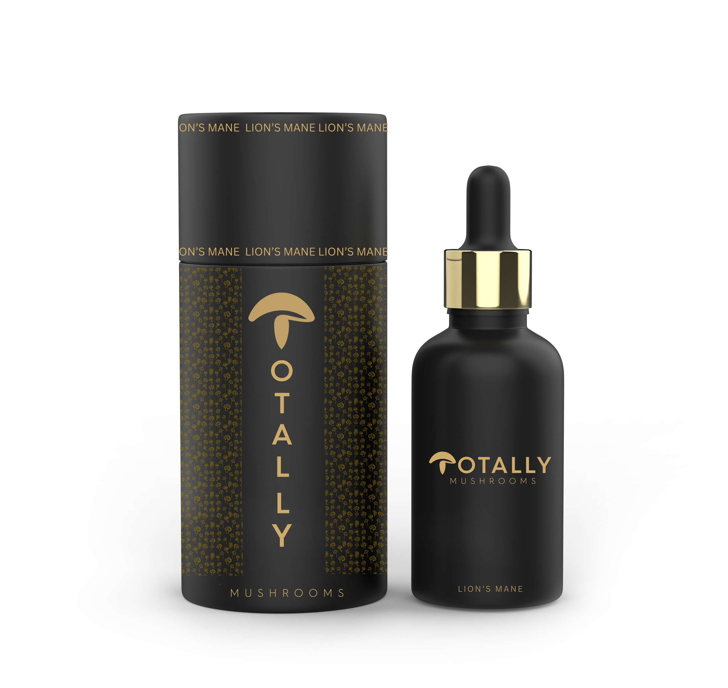 LION”S MANE-2.png