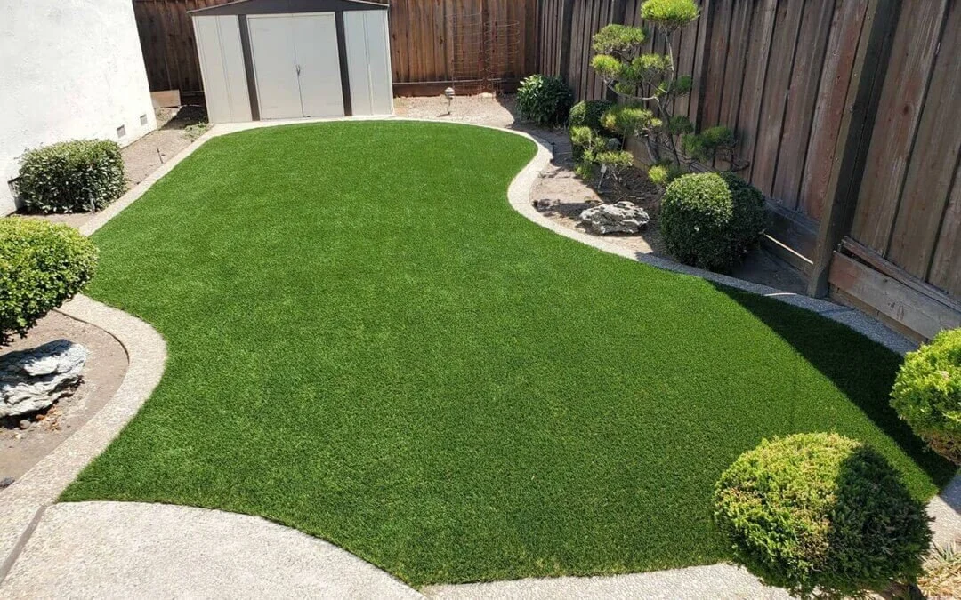 Dog Run turf near me