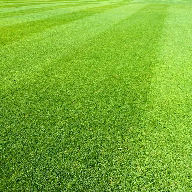 Close-up of a well-maintained grassy field with alternating light and dark green stripes.
