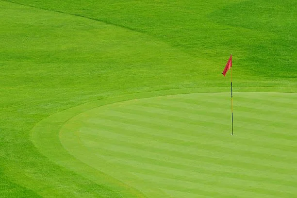 Putting green installation for residential and commercial 