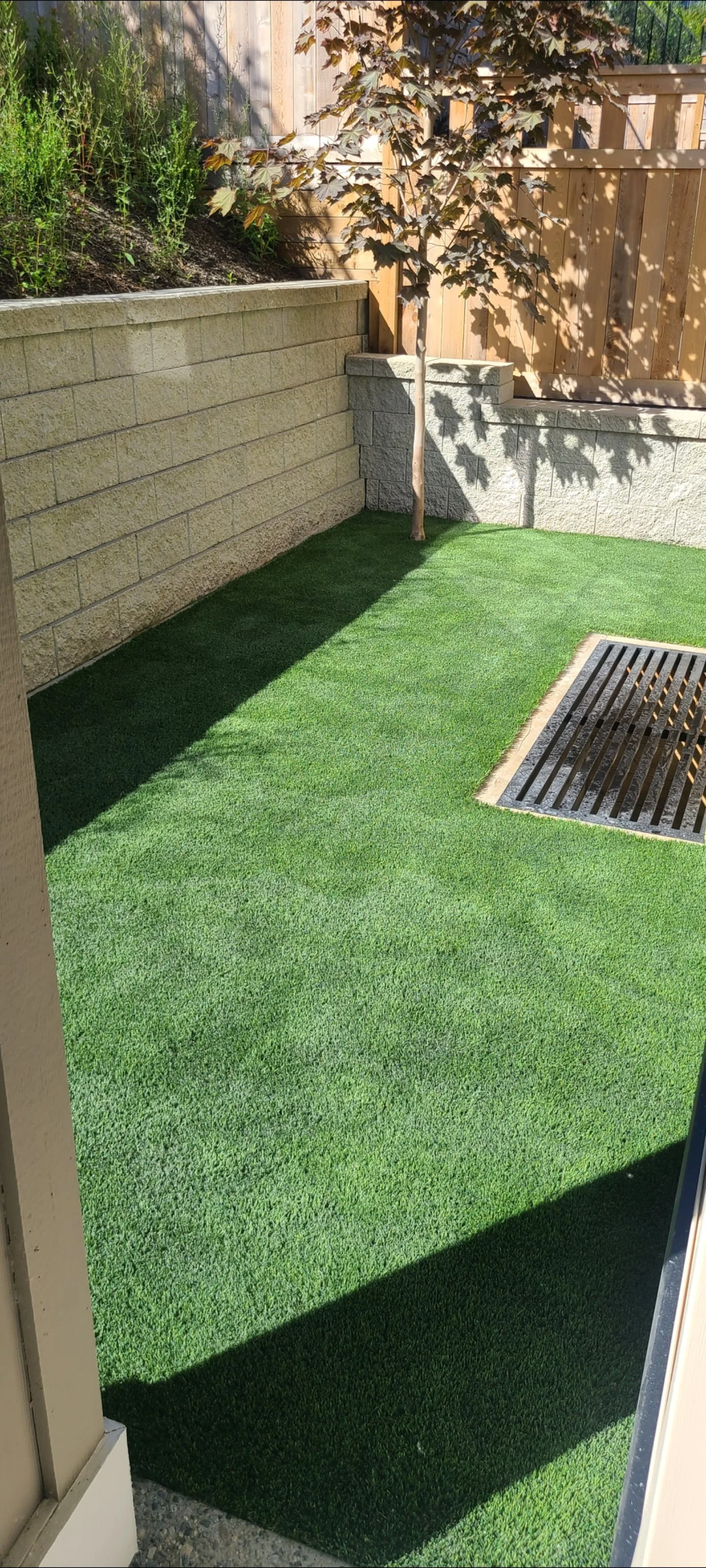 A small backyard enclosed by a wooden fence, with a young tree and a retaining wall made of concrete blocks, a patch of green artificial turf, and a drainage grate.