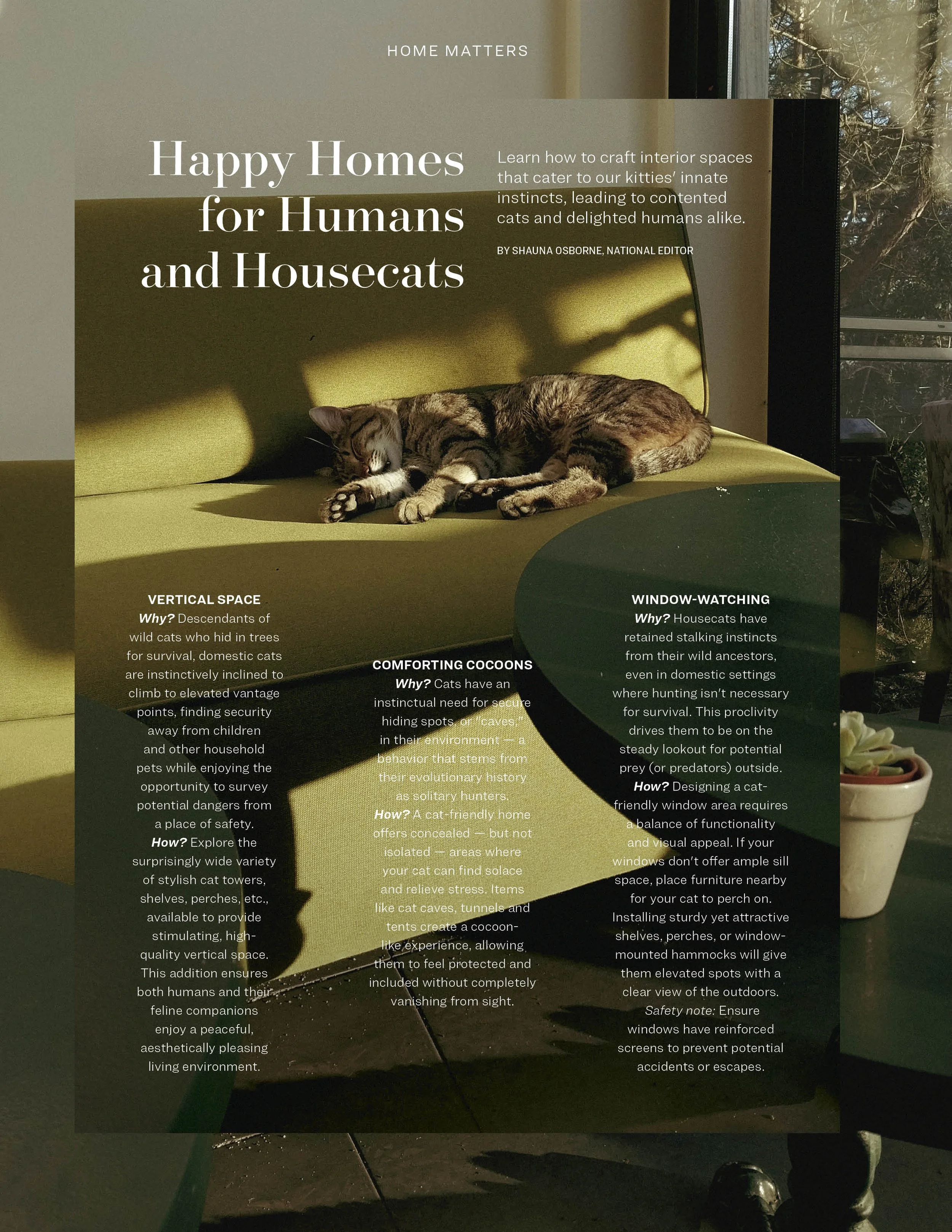 Dec 23_National Articles_Stroll_Greet_Home Matters.jpg