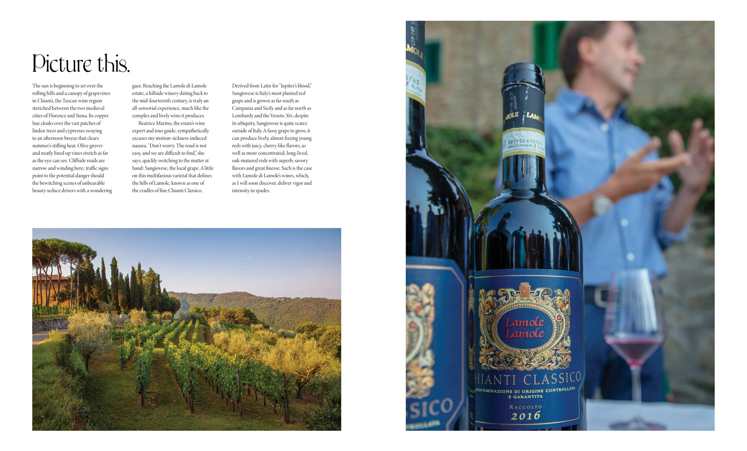 3_Feature_Voyage_Santa Margherita_LR2.jpg