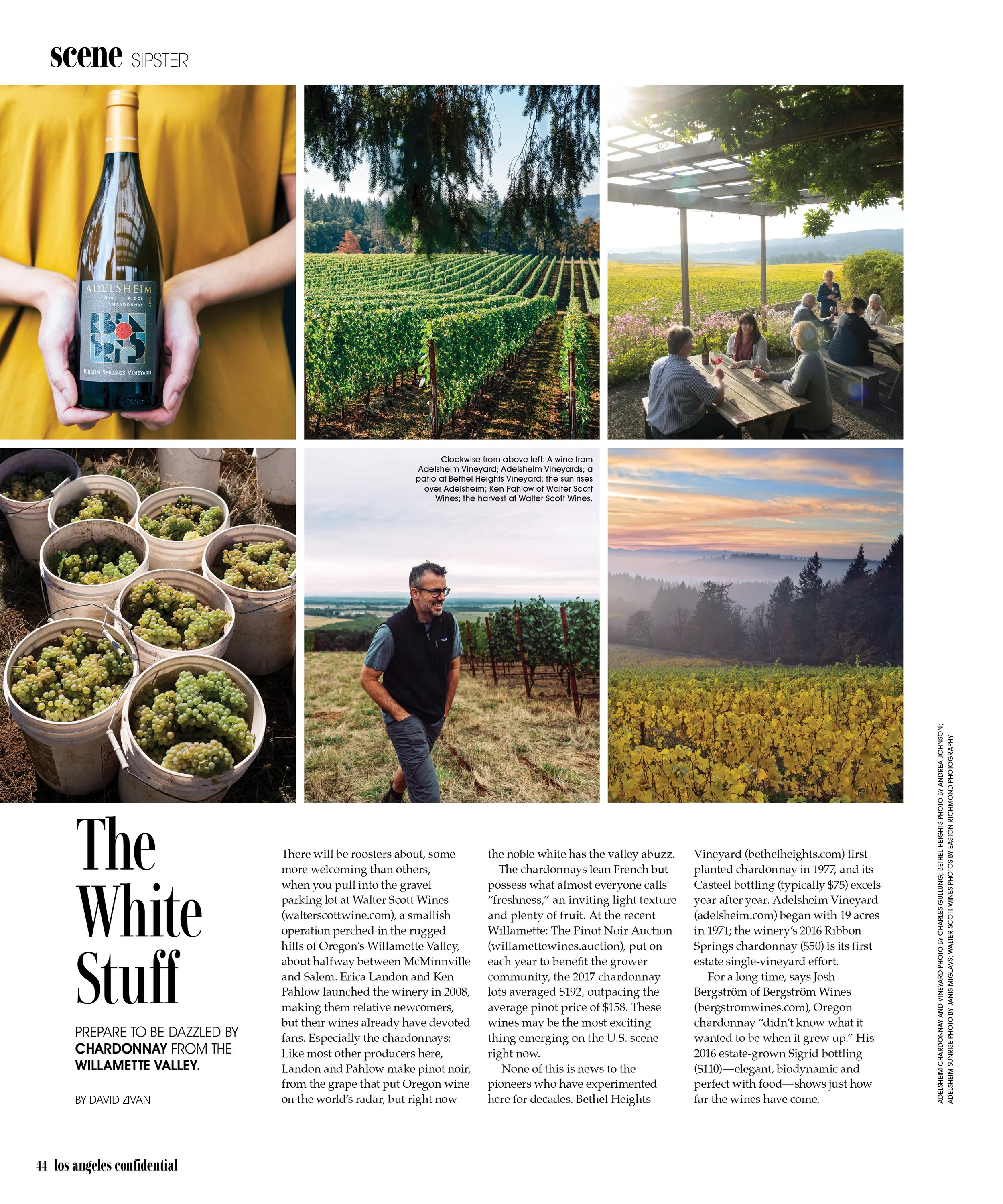 4SceneN_Sipster-OregonWine_COMM2_OCT2019.jpg
