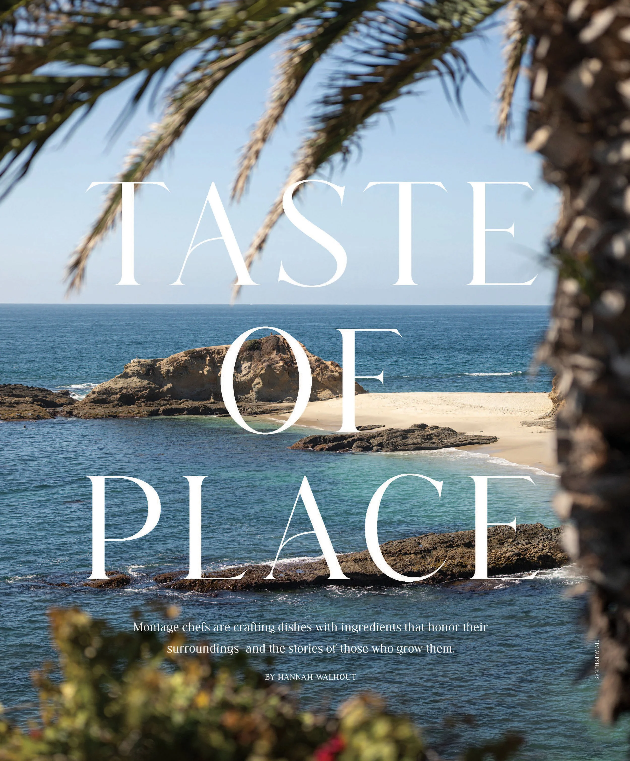 Distinct_Winter:Spring 2026_High Res_Pages_Page_28.jpg