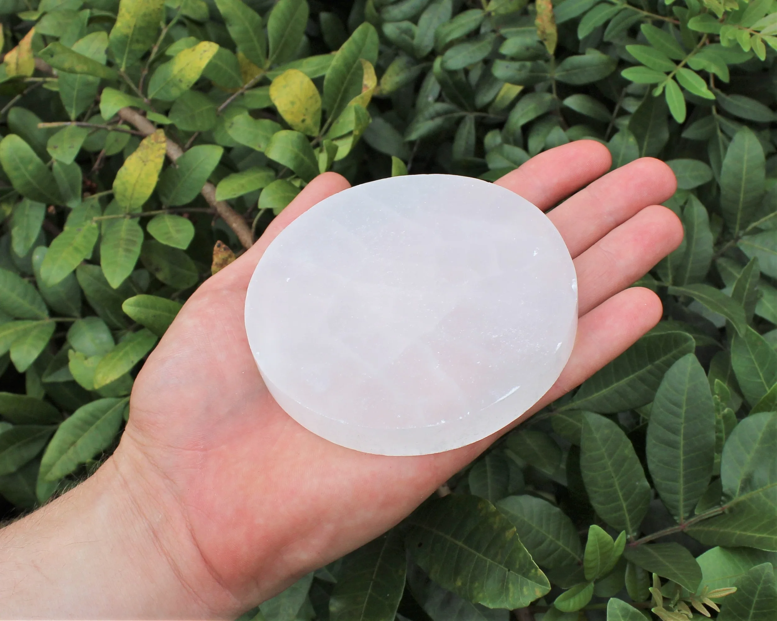 selenite plate.webp