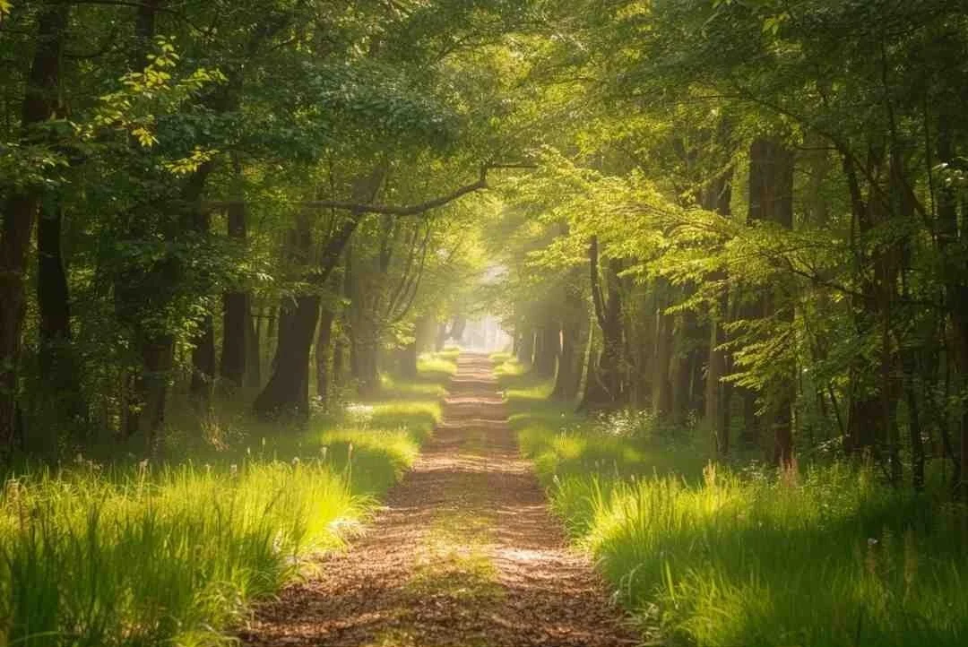 Tomorrow's Path Tax & Advisory, PLLC
