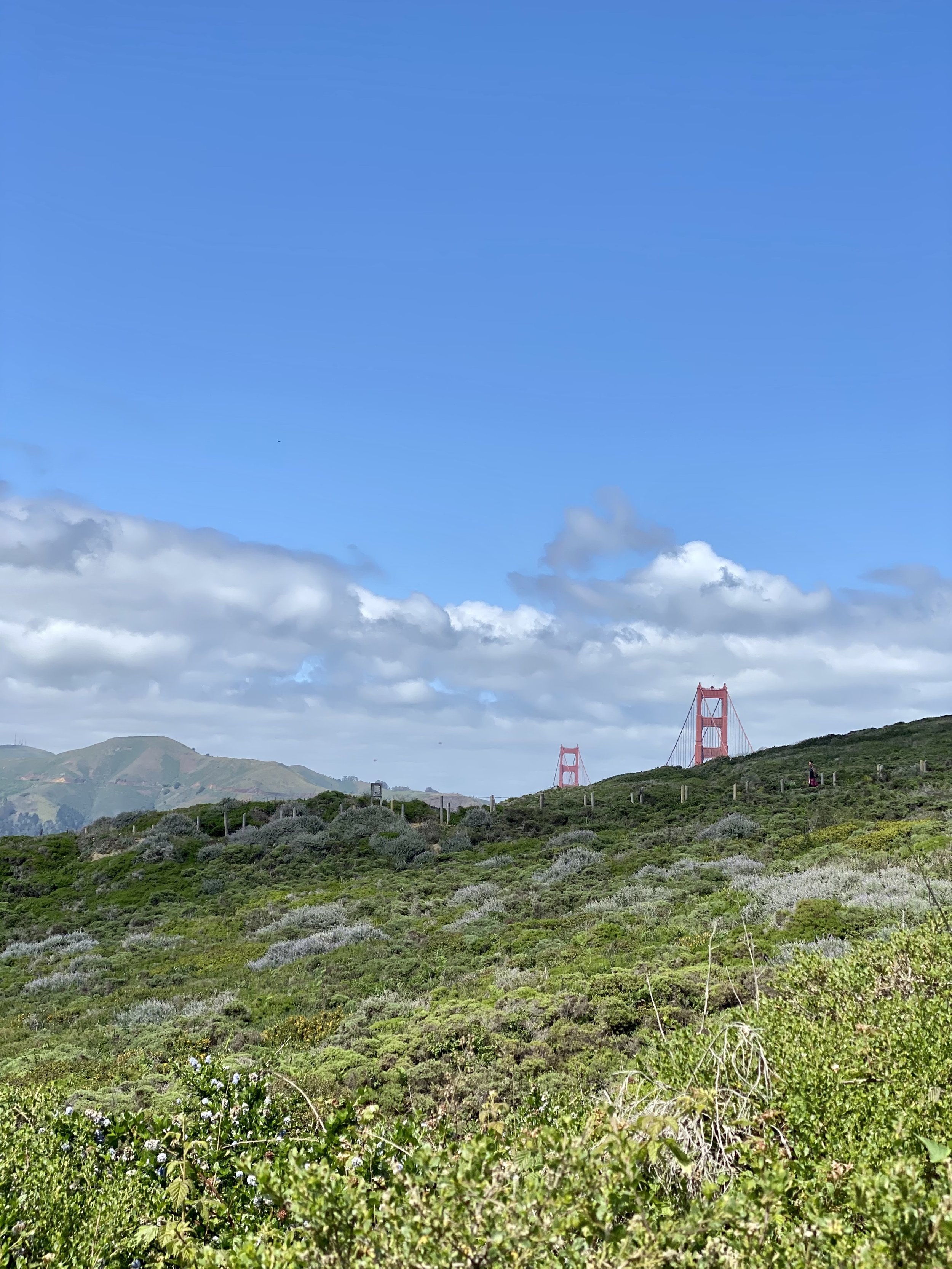 View of the Golden Gate Bridge in San Francisco, California, with green hills and shrubs in the foreground under a partly cloudy sky.