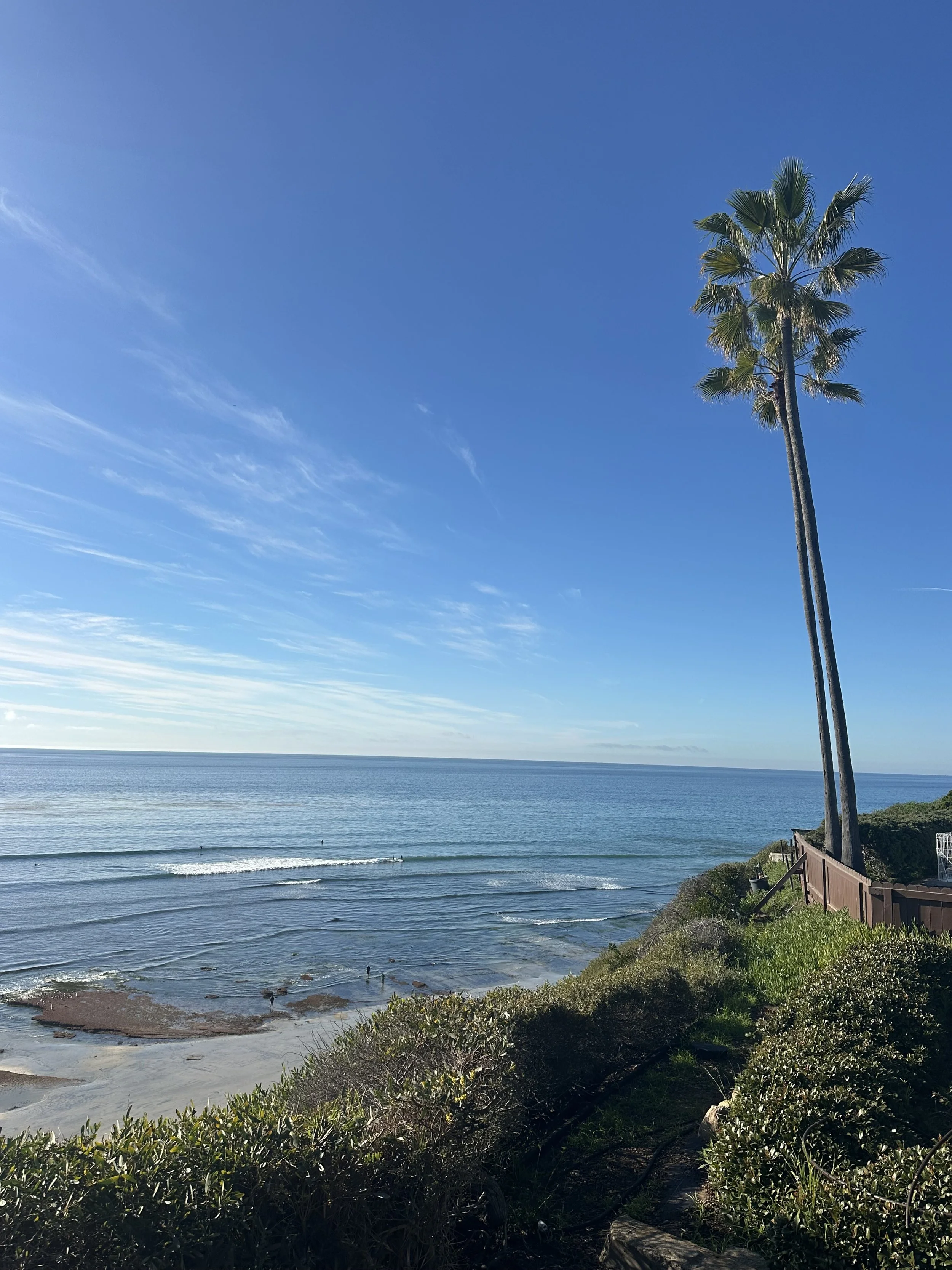 View of a beach with calm ocean waves, a clear blue sky, and tall palm trees on the right side, with green bushes along the shoreline.
