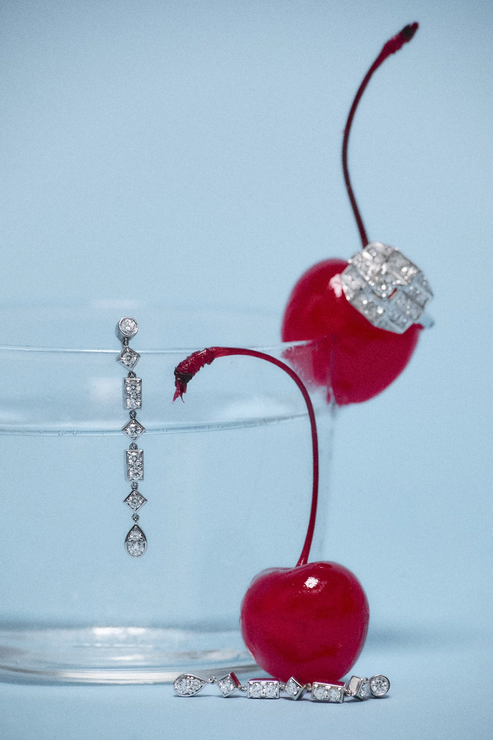 CSC - ANSORENA - 2025_ 470.jpg