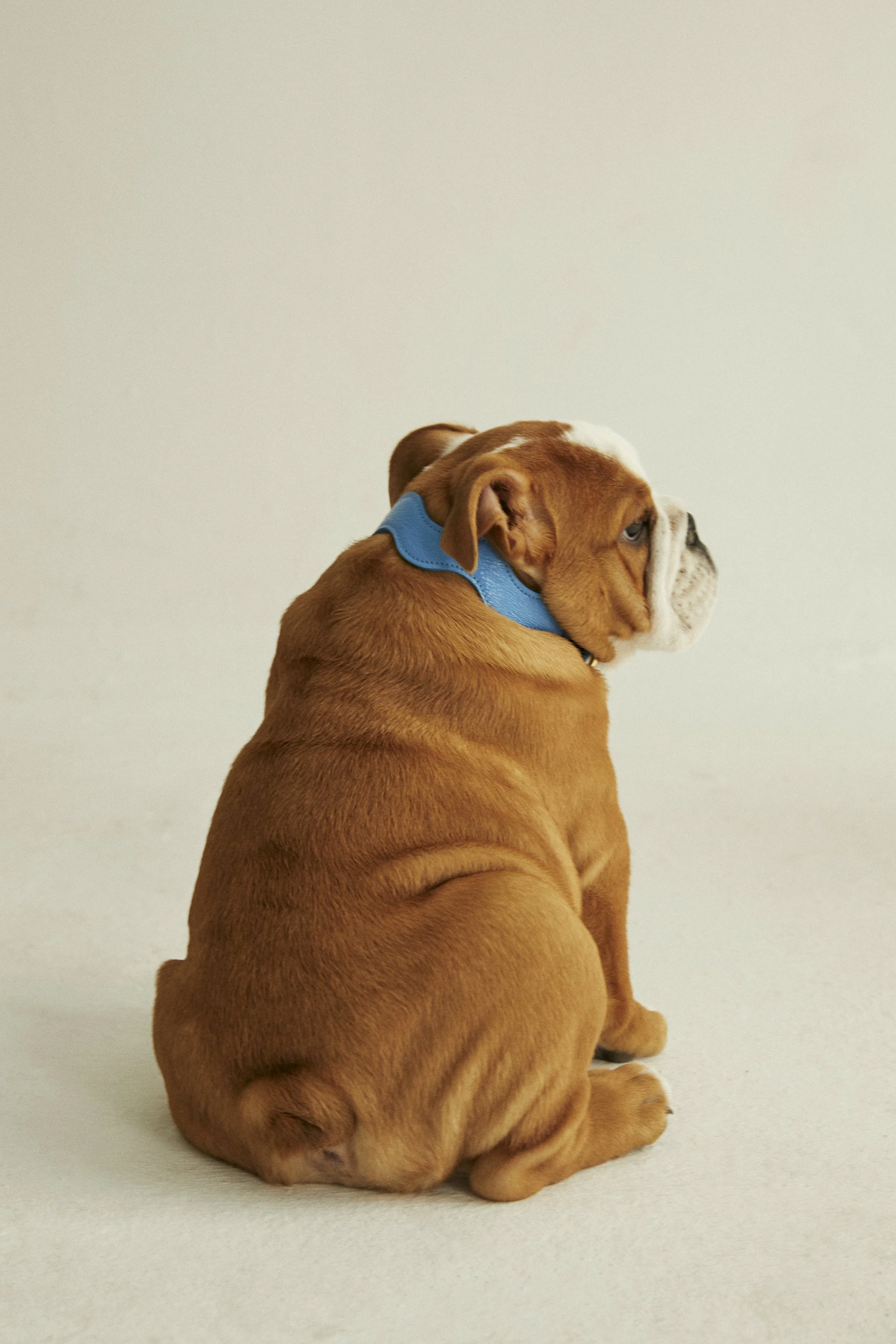 CANCAN x CURATED BY0434 1.jpg