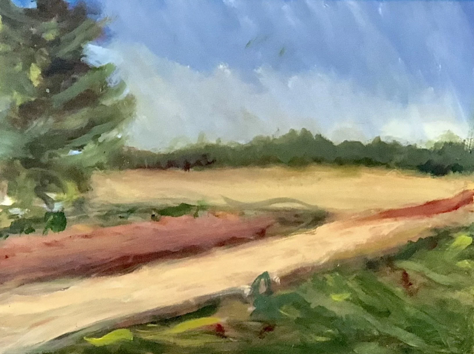 L 001 Land 008 OOC.jpeg.jpg