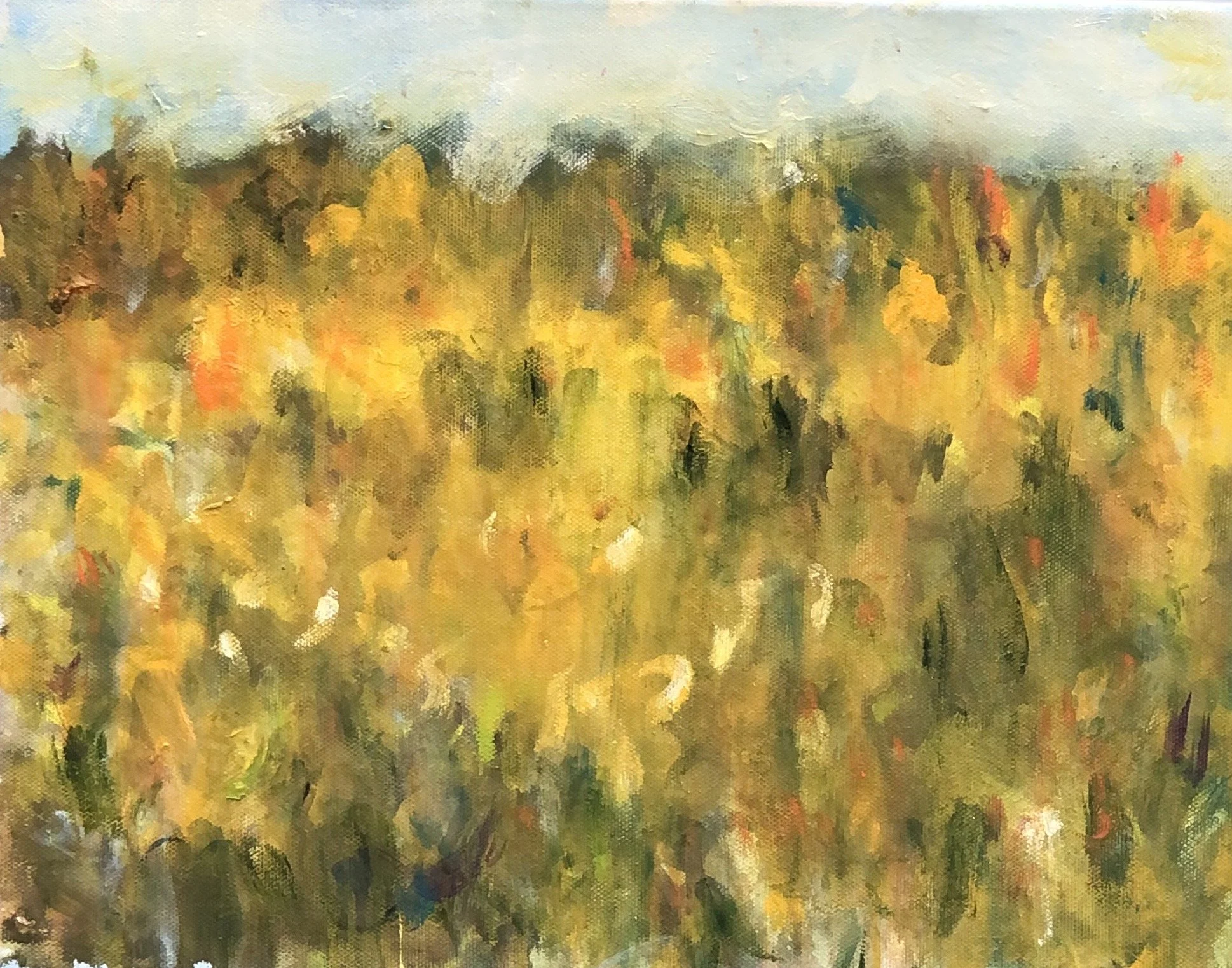 L 001 Land 006 OOC.jpg